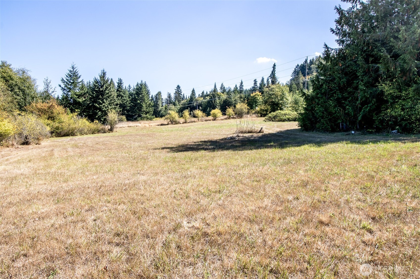 243043 Highway 101 Property Photo 6