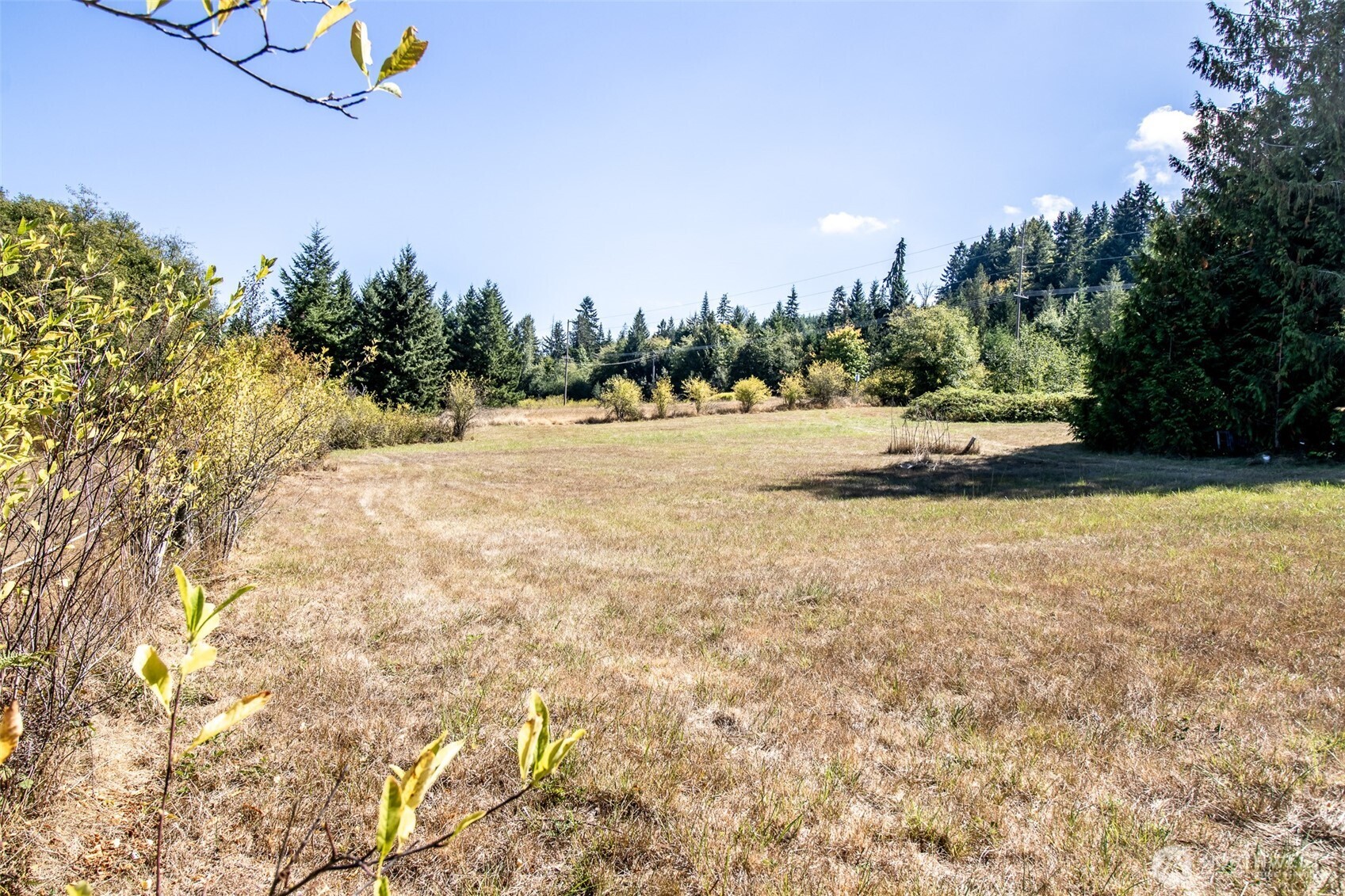 243043 Highway 101 Property Photo 8