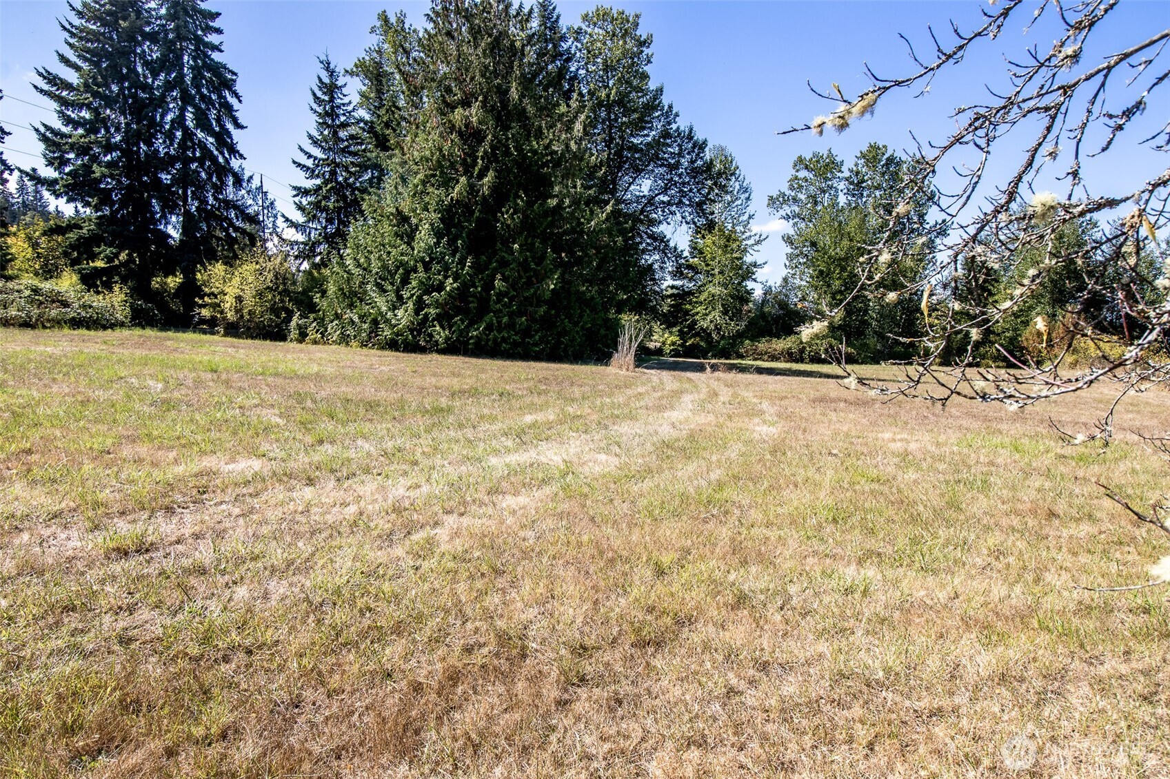 243043 Highway 101 Property Photo 11