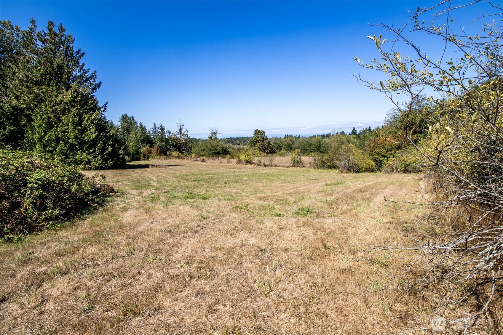 243043 Highway 101 Property Photo 13
