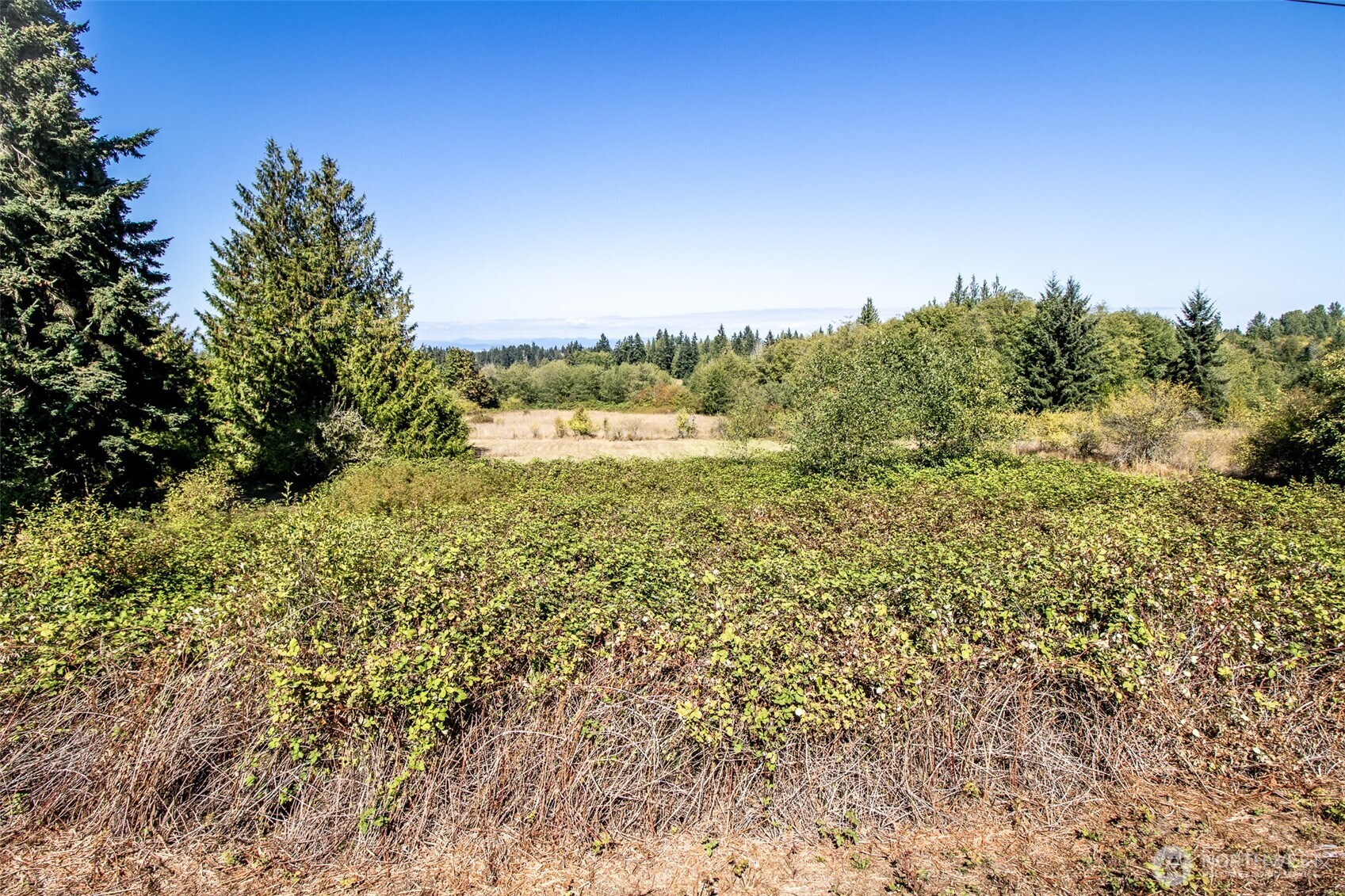 243043 Highway 101 Property Photo 16