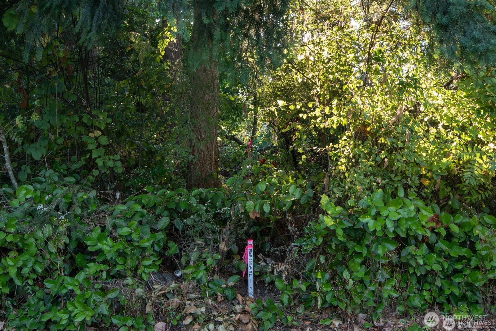 13000 1st Avenue Property Photo 2