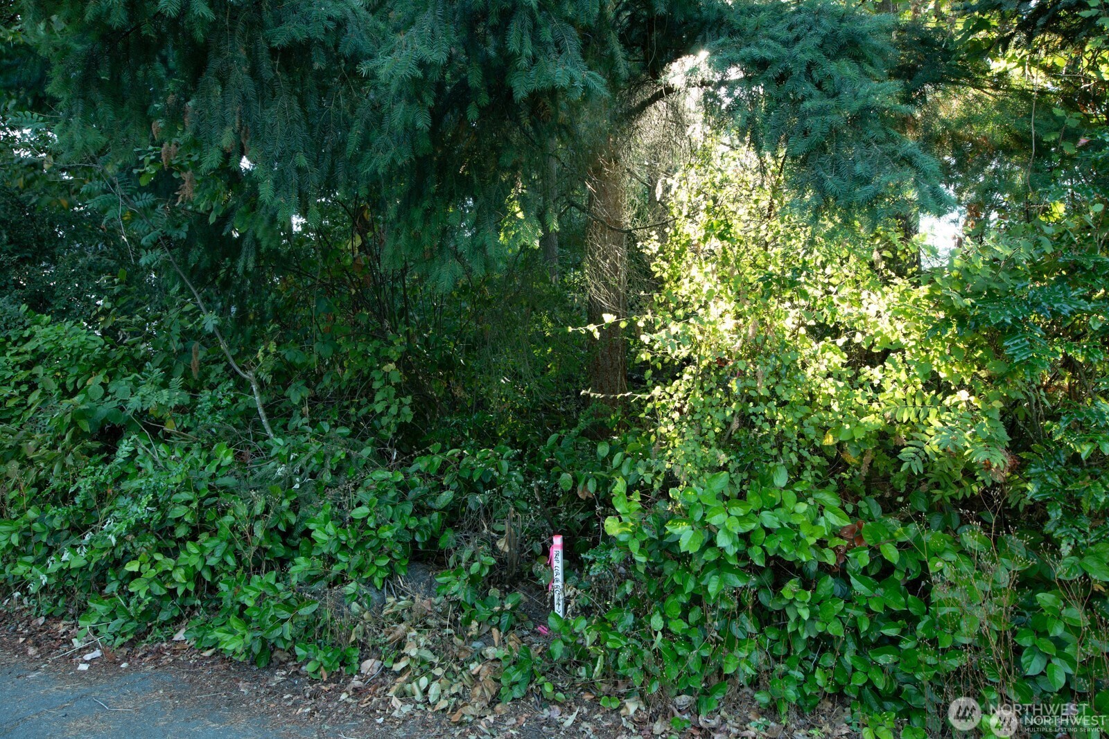 13000 1st Avenue Property Photo 3