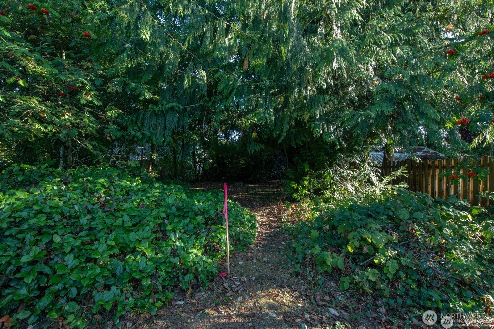 13000 1st Avenue Property Photo 7