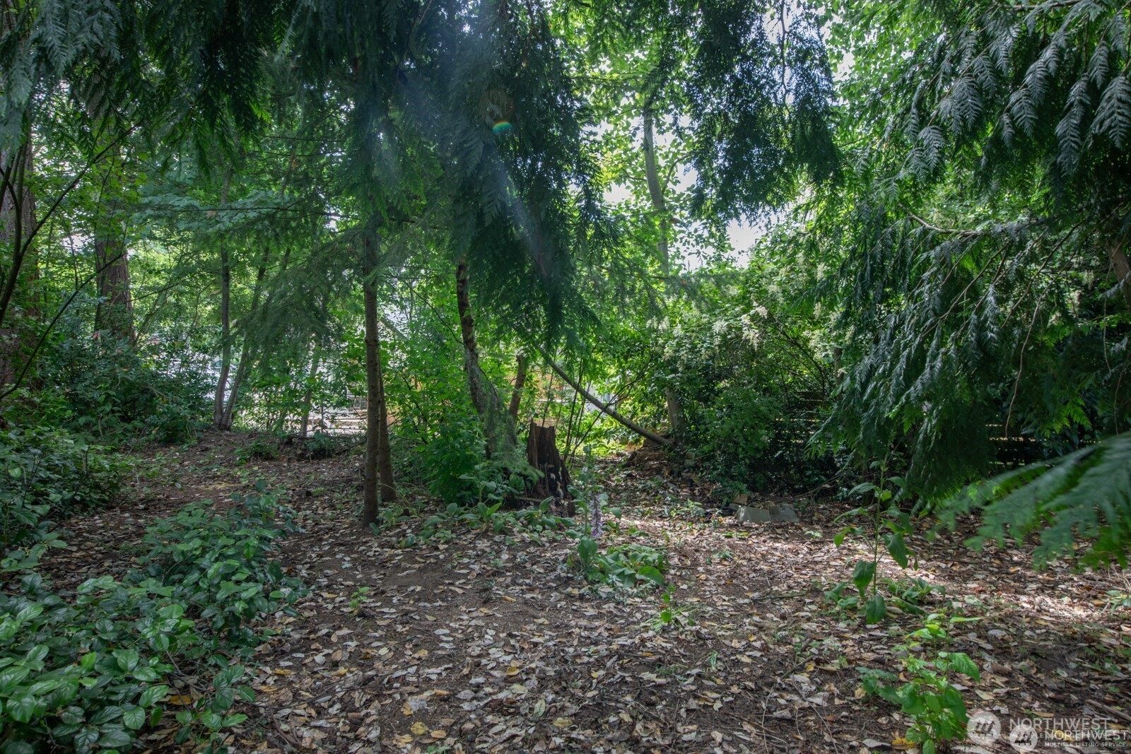 13000 1st Avenue Property Photo 10