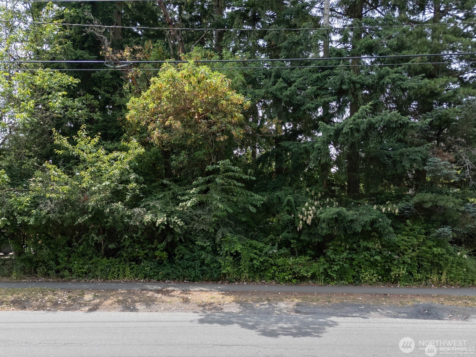 13000 1st Avenue Property Photo 11