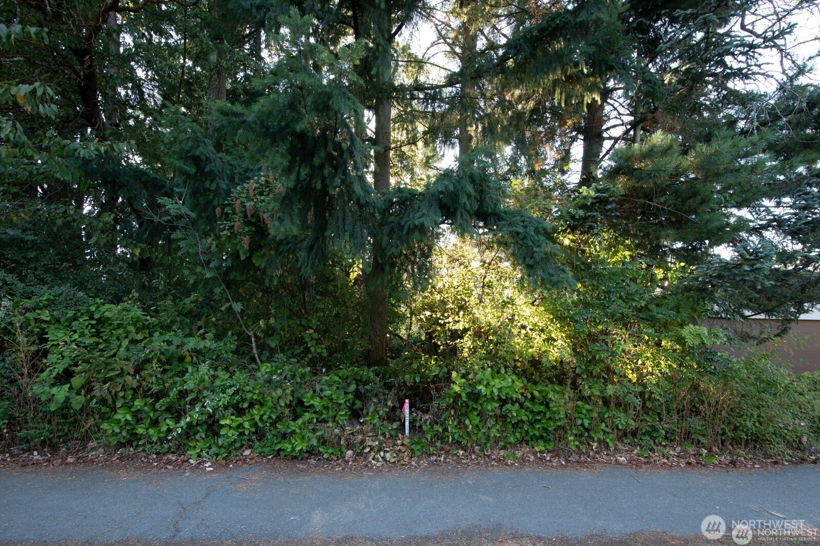 13000 1st Avenue Property Photo 14