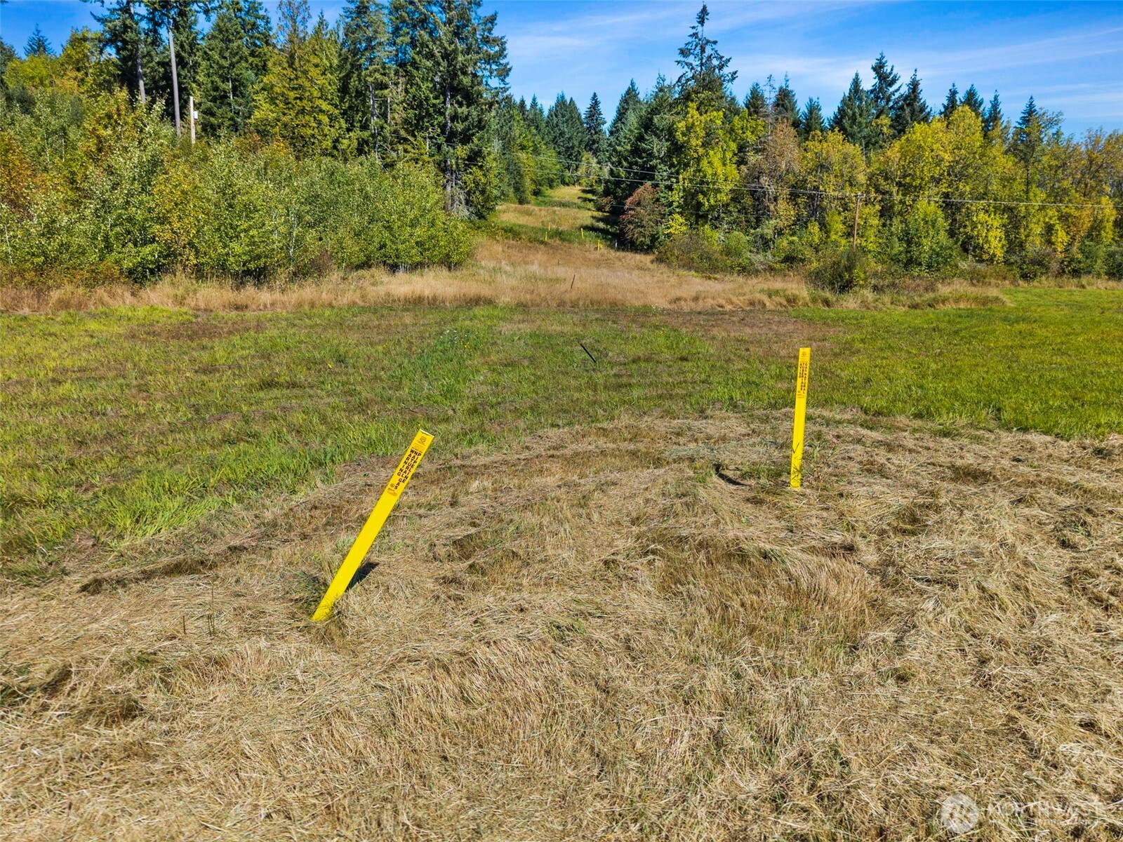 161 Taylor Road Property Photo 14