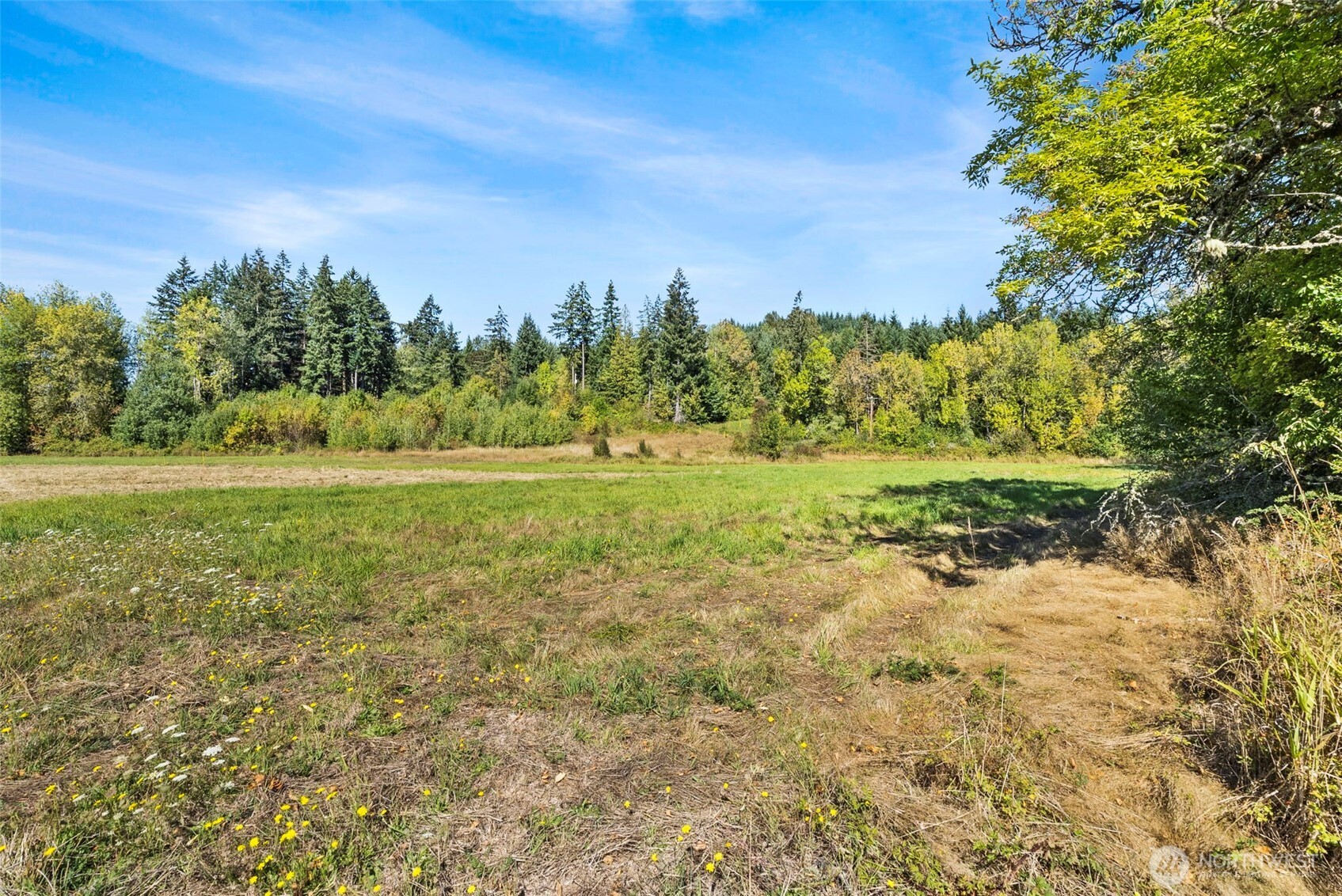 161 Taylor Road Property Photo 17