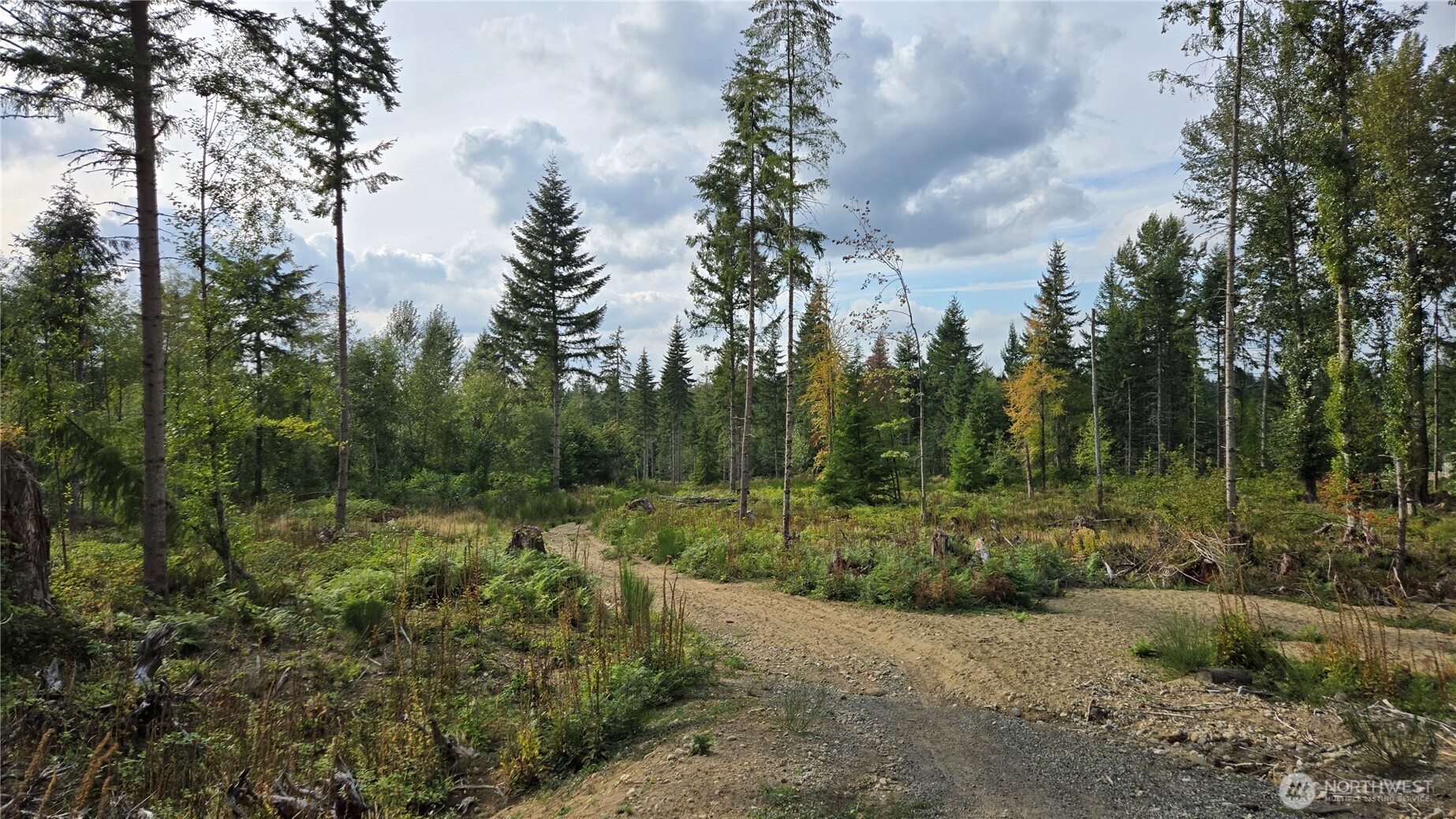 27009 170th Street Property Photo 4