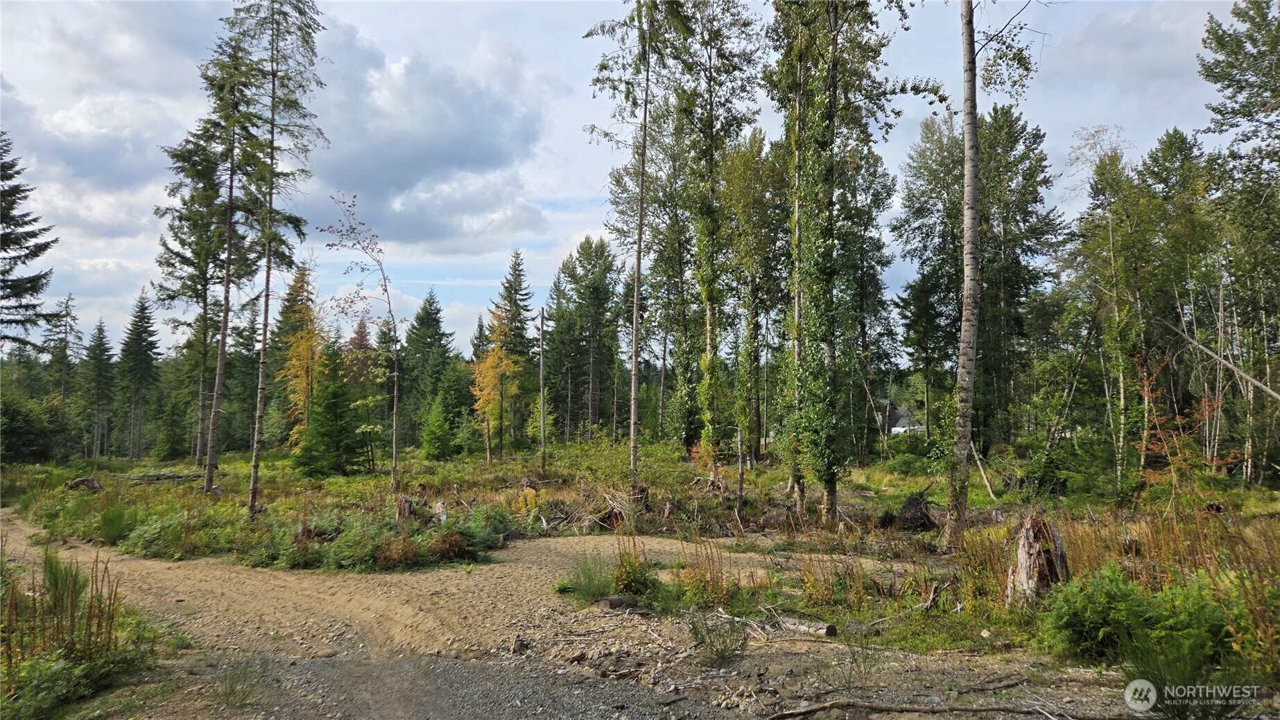 27009 170th Street Property Photo 5