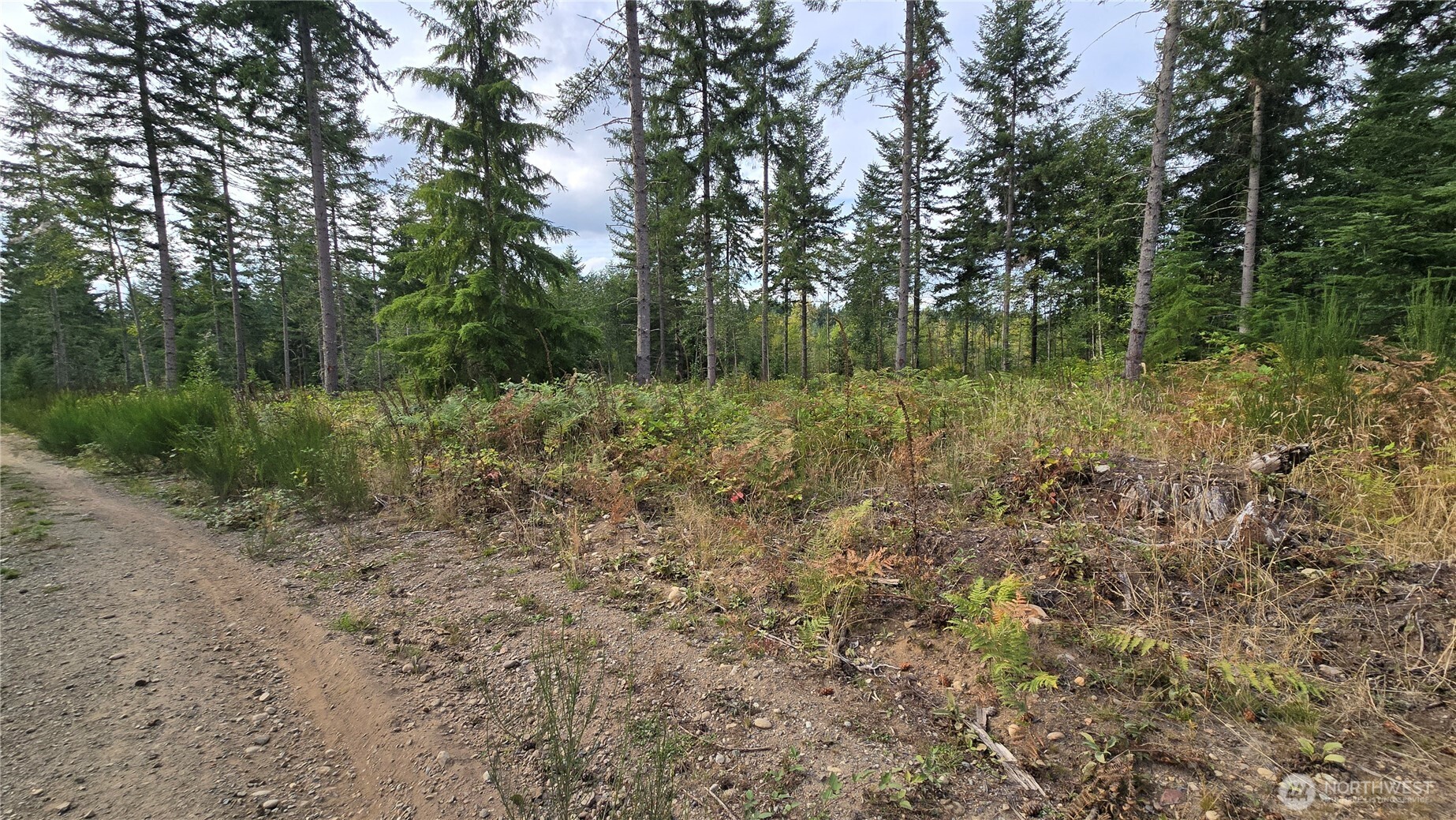 27009 170th Street Property Photo 11
