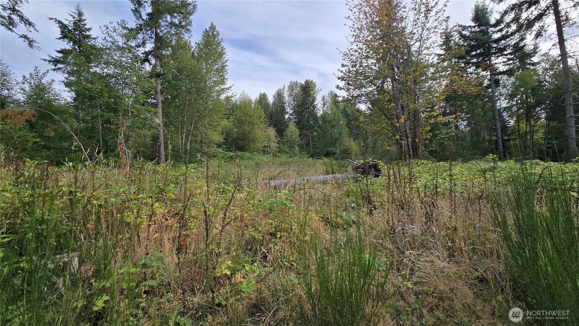 27009 170th Street Property Photo 12