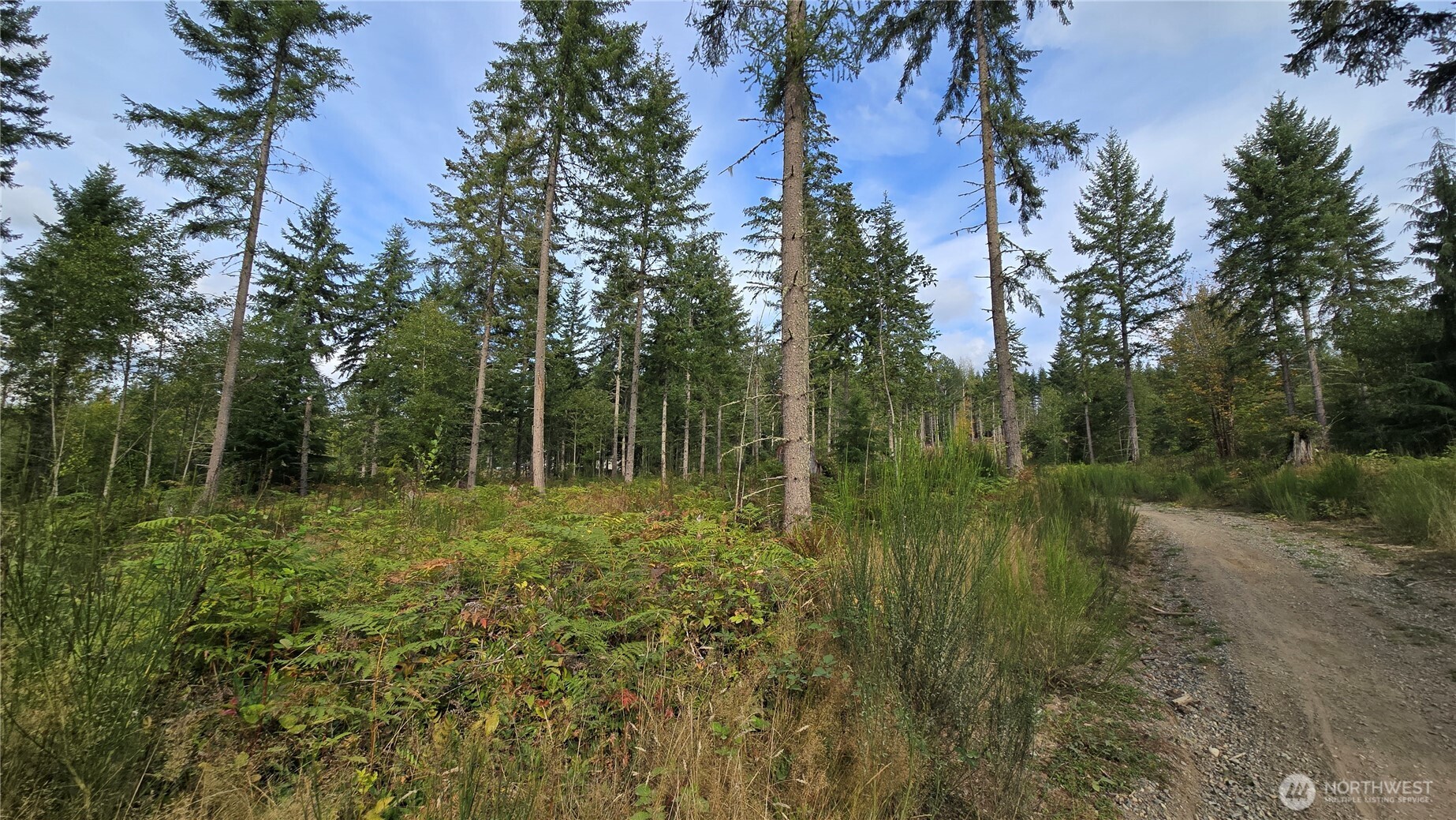 27009 170th Street Property Photo 15