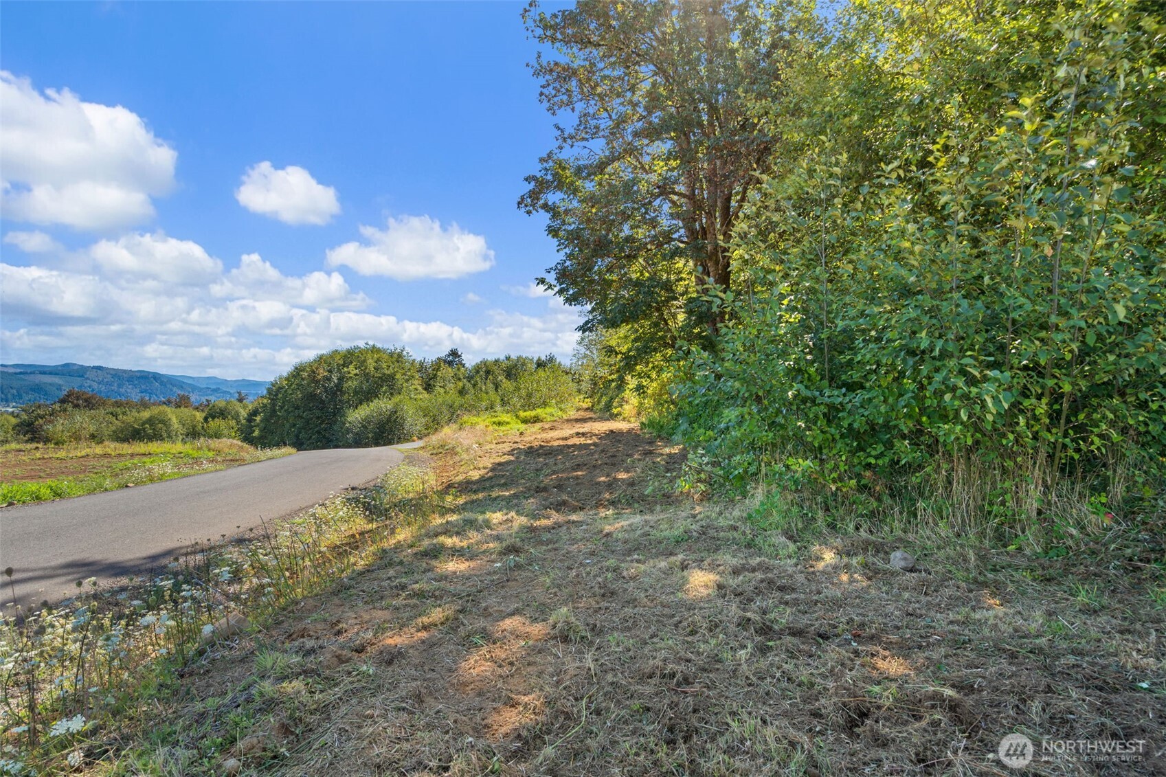 149 Breezy Lane Property Photo 21