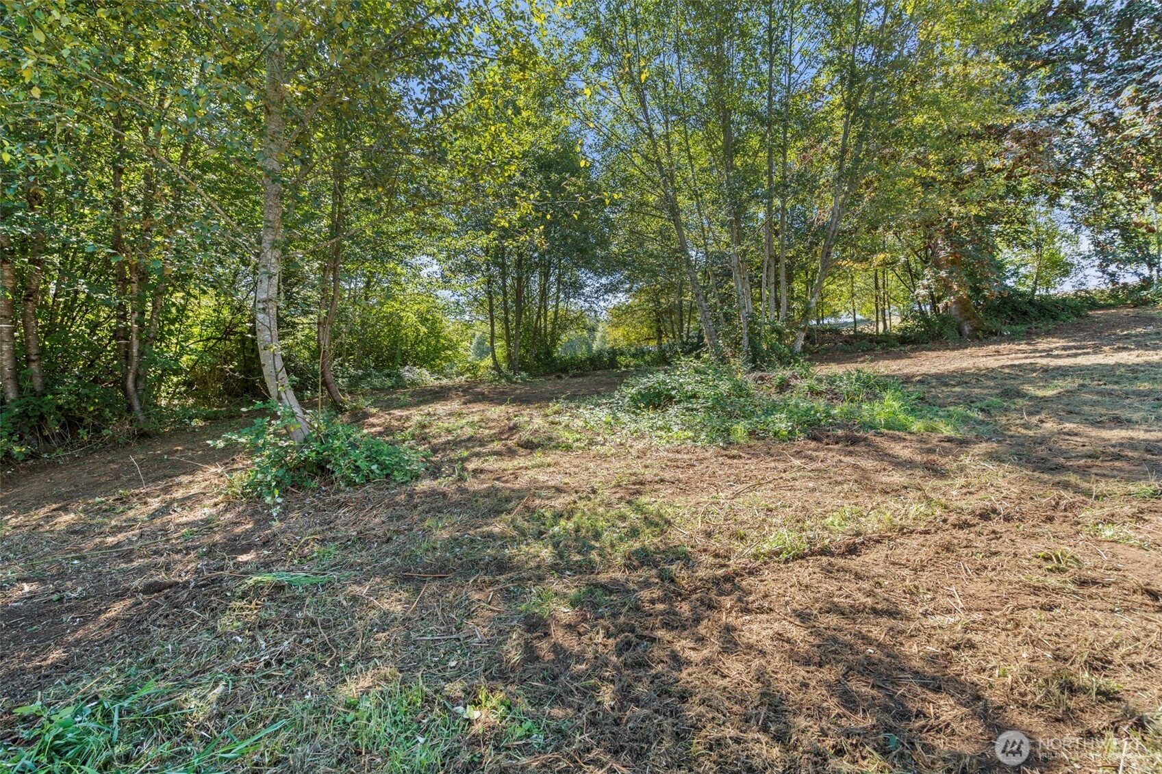 149 Breezy Lane Property Photo 26