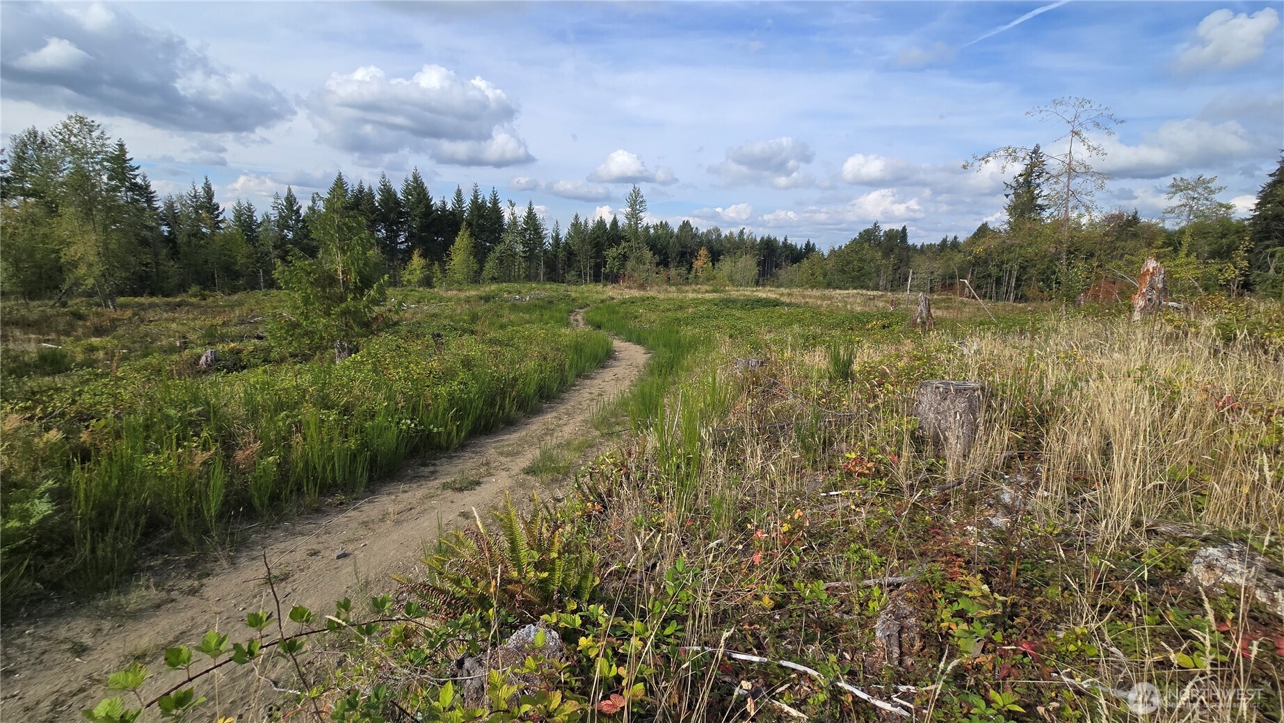 2 Xxxx 170th Street Property Photo 11