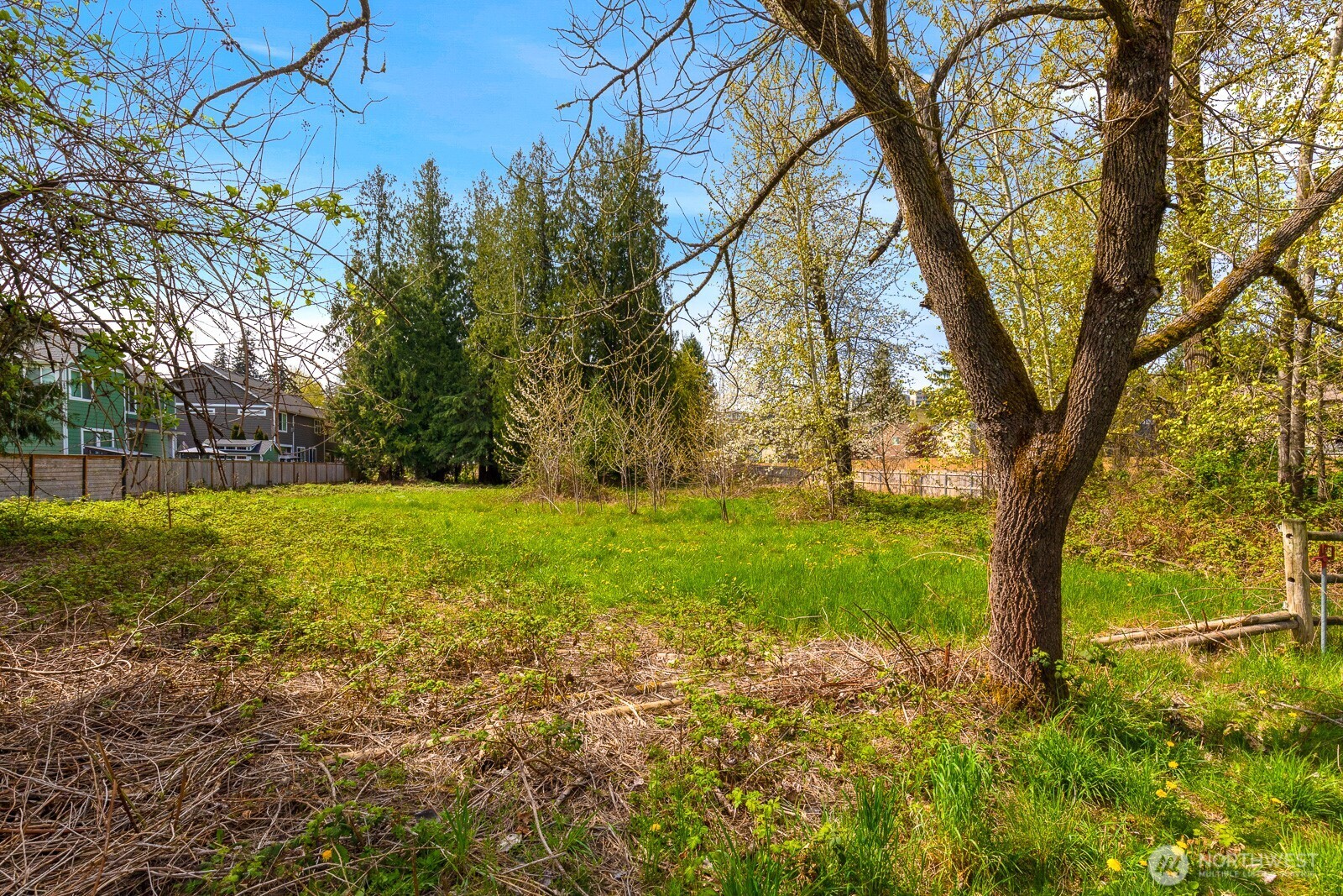 11122 Angeline Road Property Photo 9