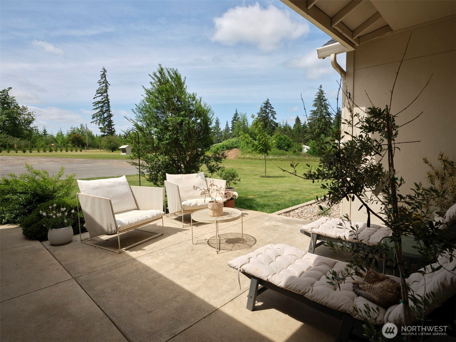 560 Park Road Property Photo 5