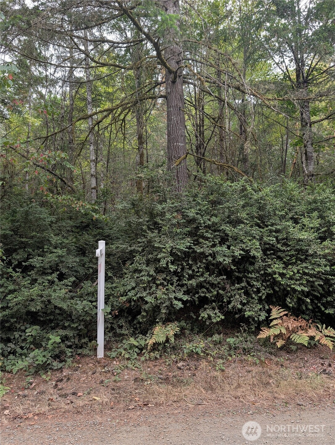 714 Webb Road Property Photo 1