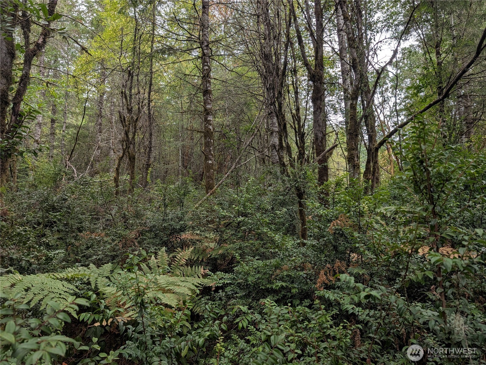 714 Webb Road Property Photo 2