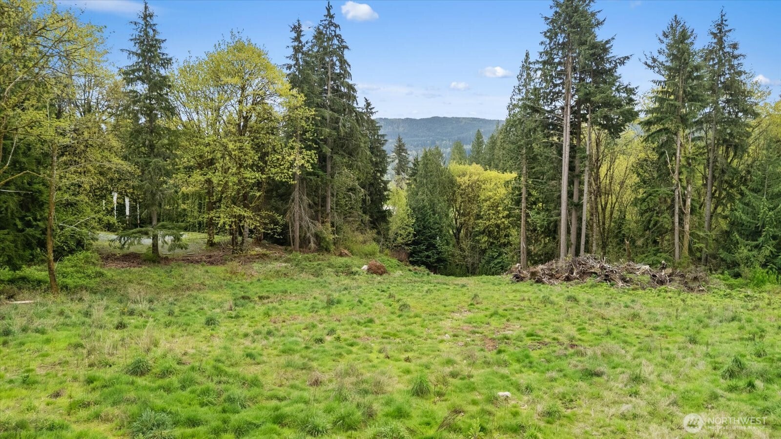 25119 153rd Place Property Photo 4