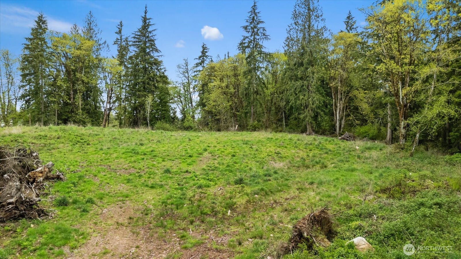 25119 153rd Place Property Photo 5