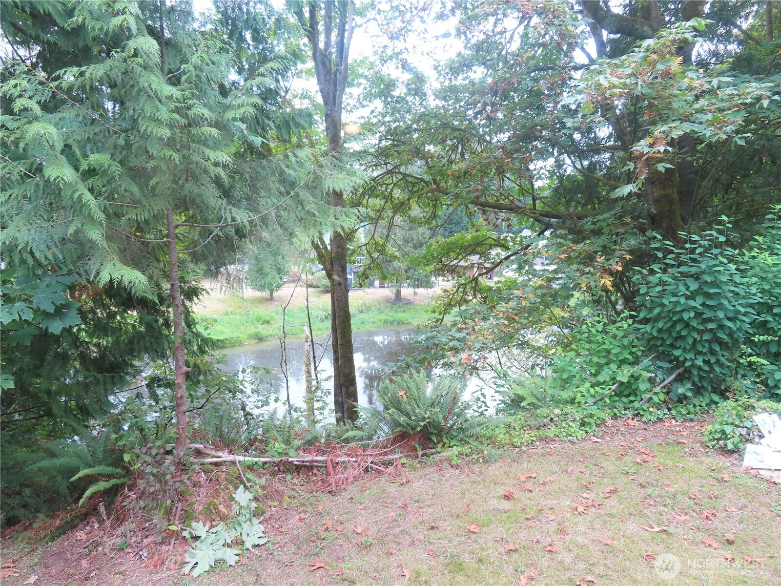 17110 119th Place Property Photo 27