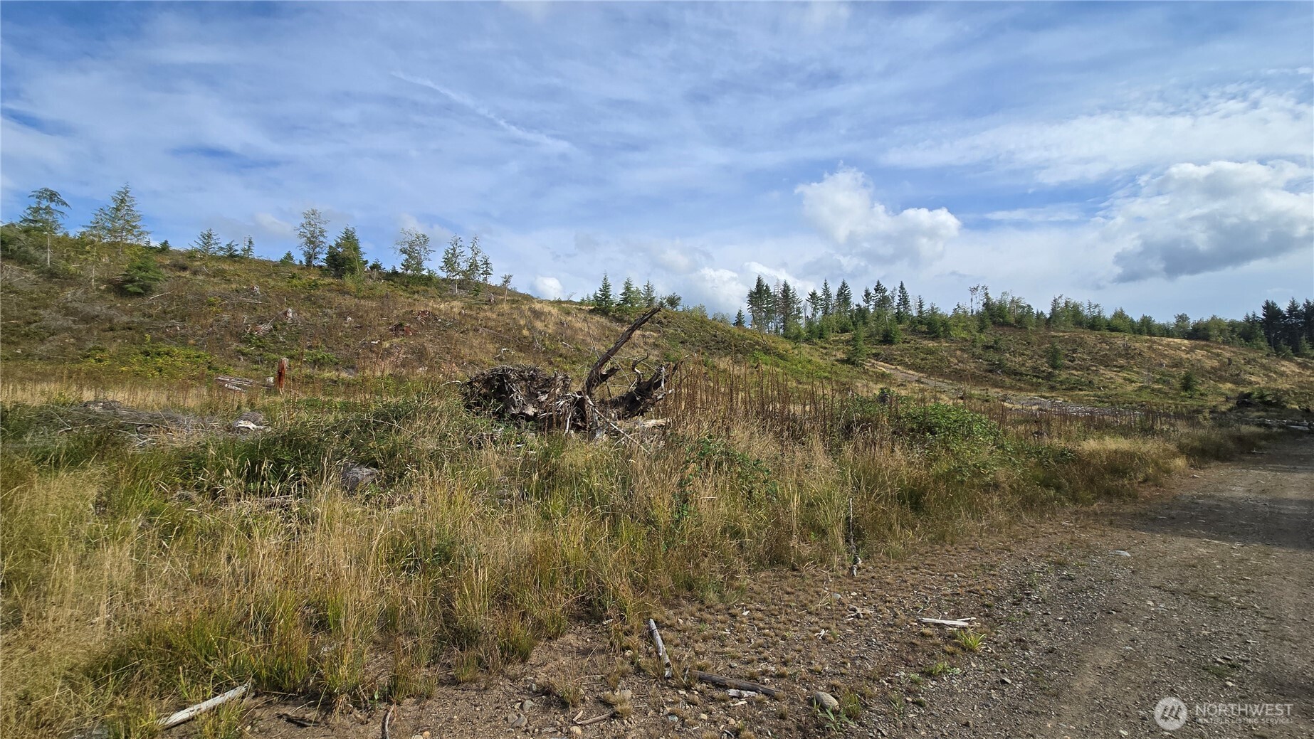 0 Ap Tubbs Road Property Photo 3