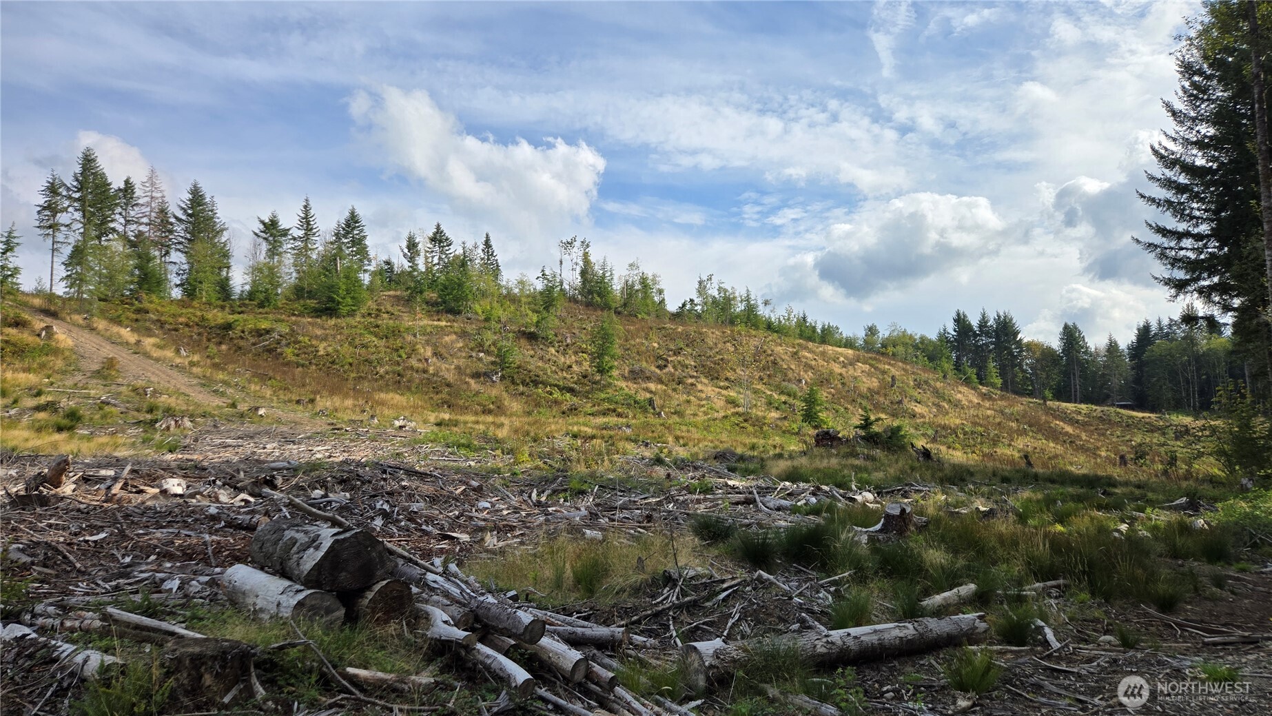 0 Ap Tubbs Road Property Photo 6