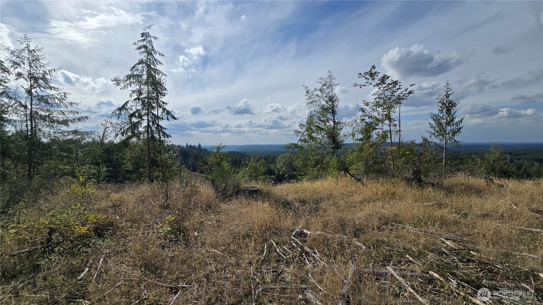 0 Ap Tubbs Road Property Photo 15