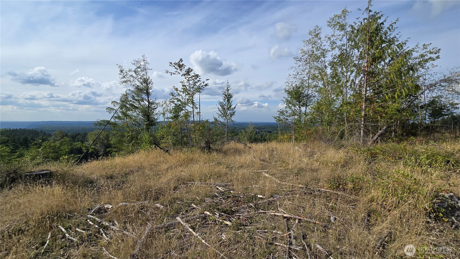 0 Ap Tubbs Road Property Photo 16