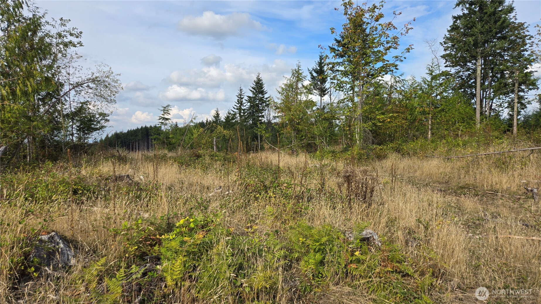 0 Ap Tubbs Road Property Photo 19
