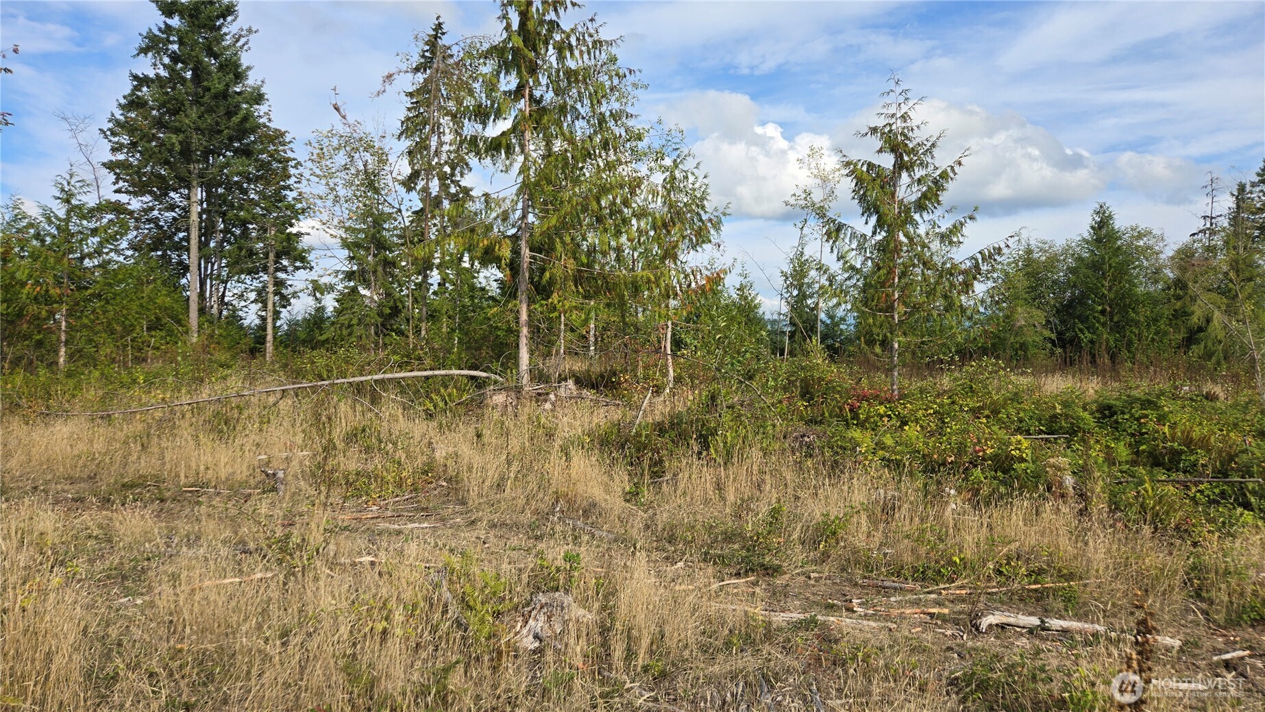 0 Ap Tubbs Road Property Photo 20