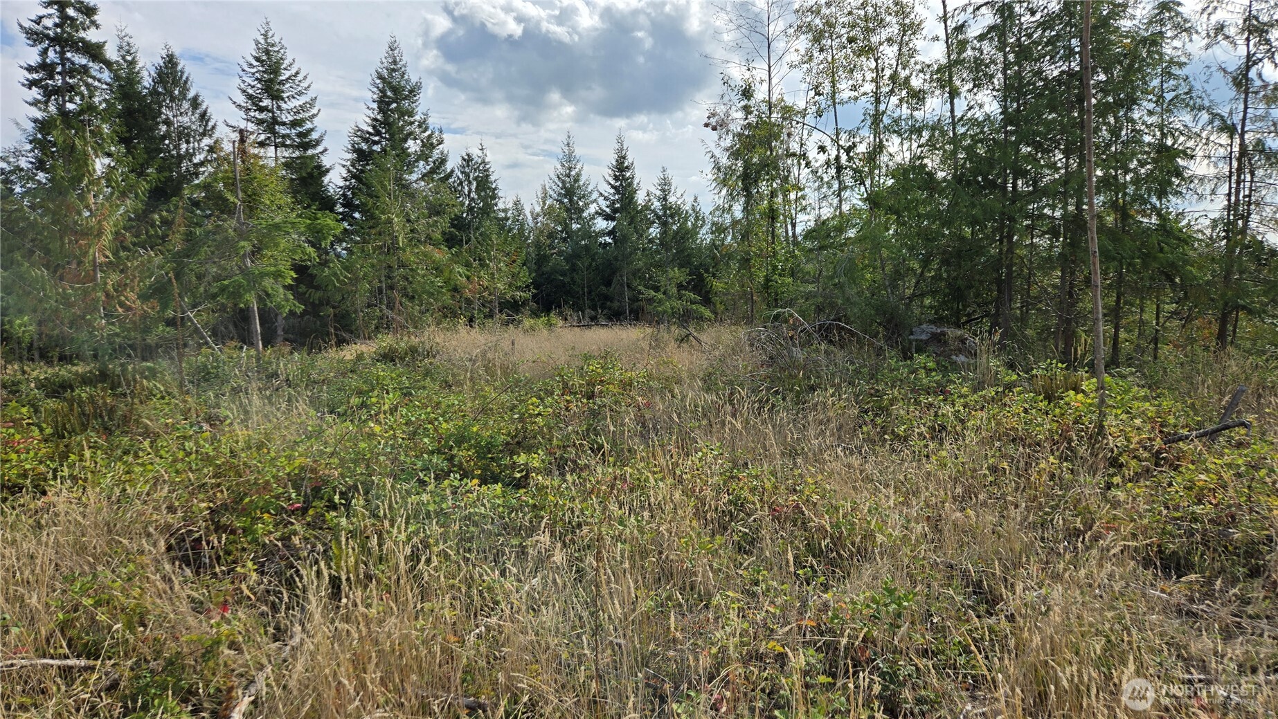 0 Ap Tubbs Road Property Photo 22