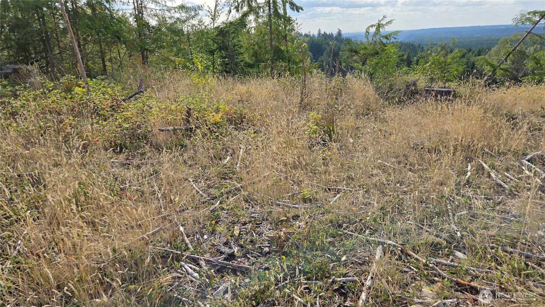 0 Ap Tubbs Road Property Photo 23