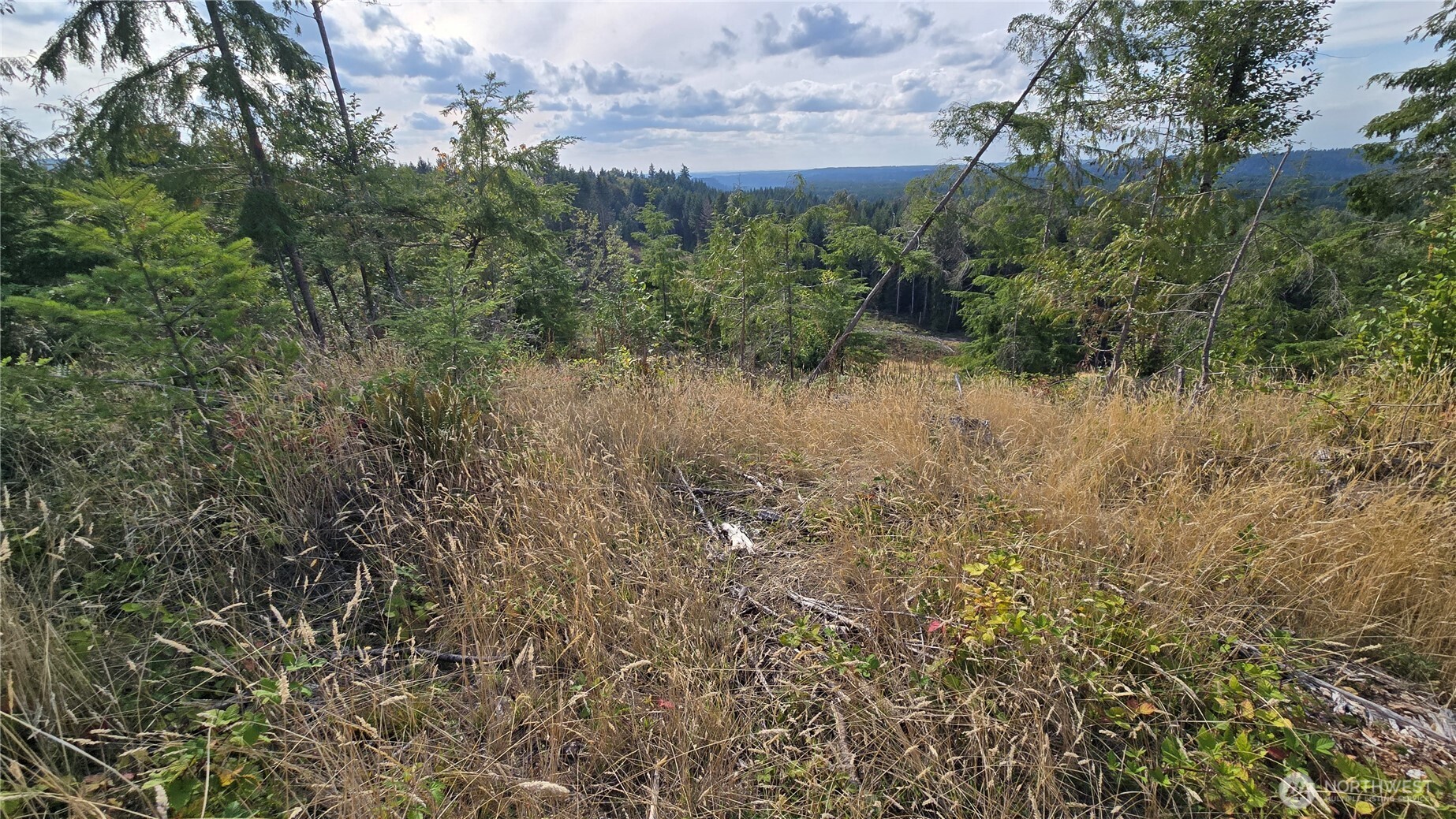 0 Ap Tubbs Road Property Photo 25