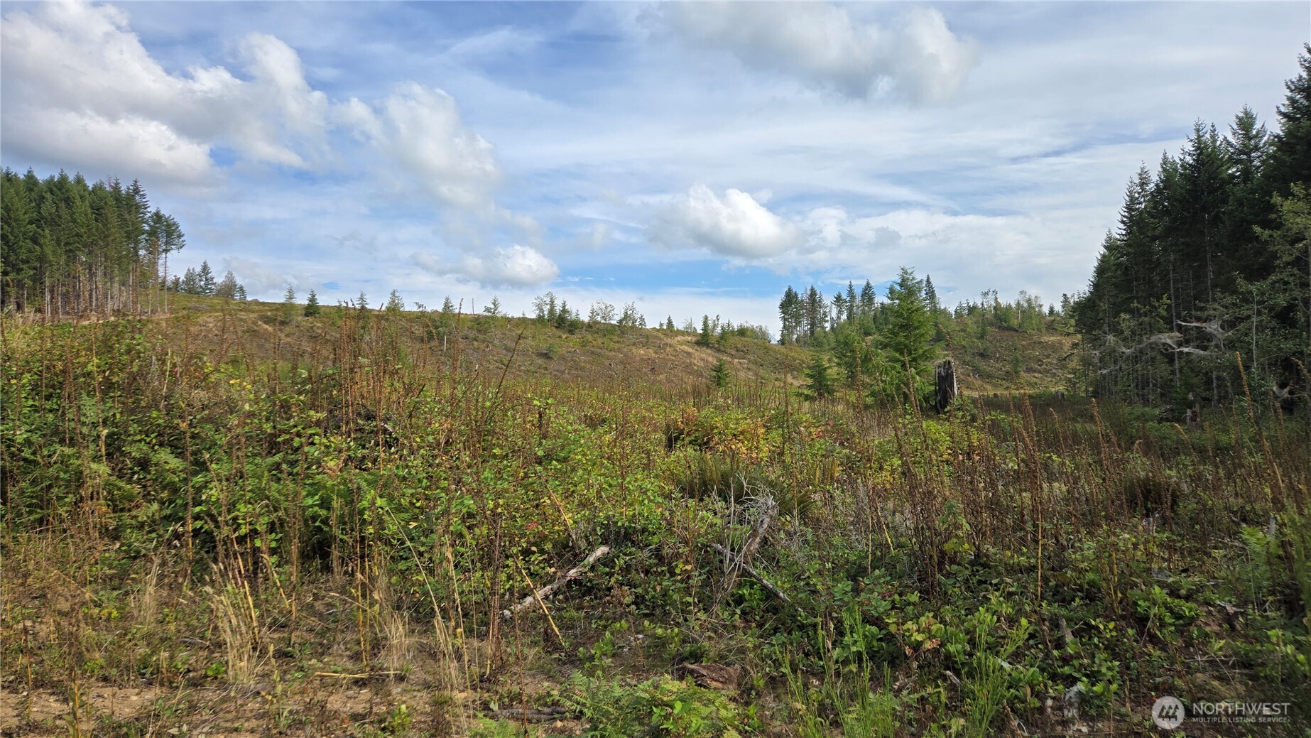0 Ap Tubbs Road Property Photo 29