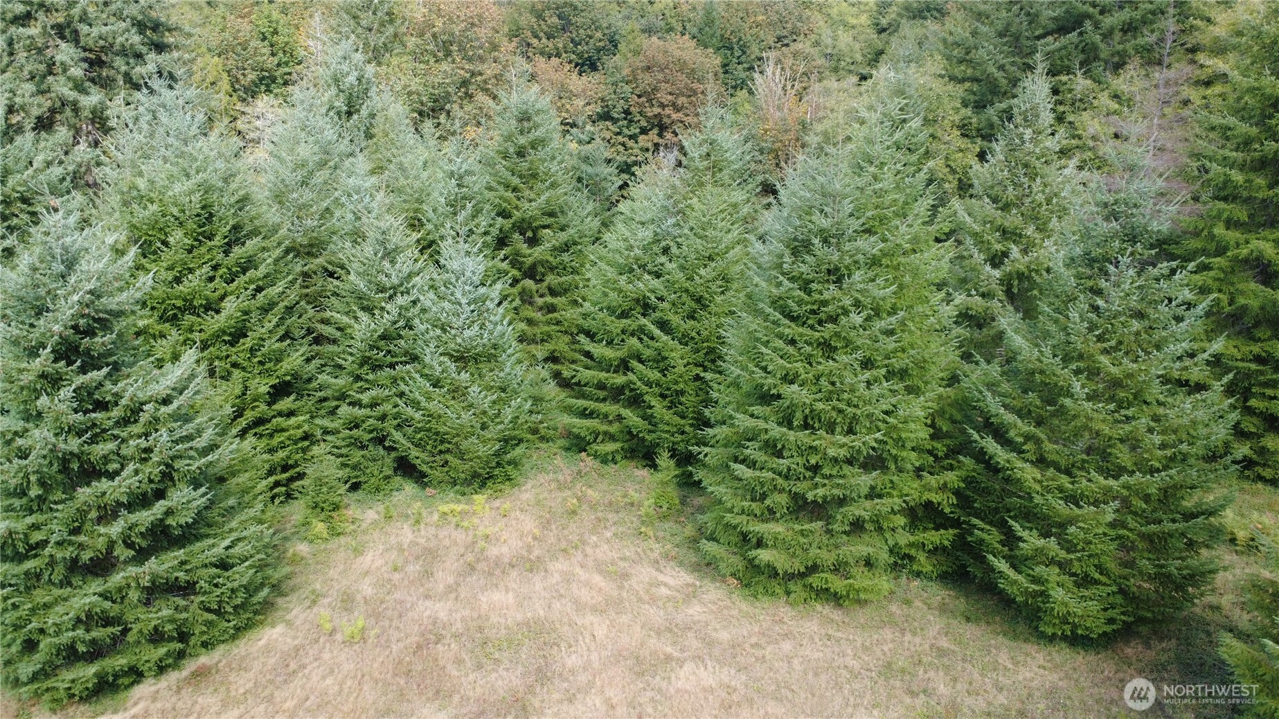 8741 Rose Valley Road Property Photo 7