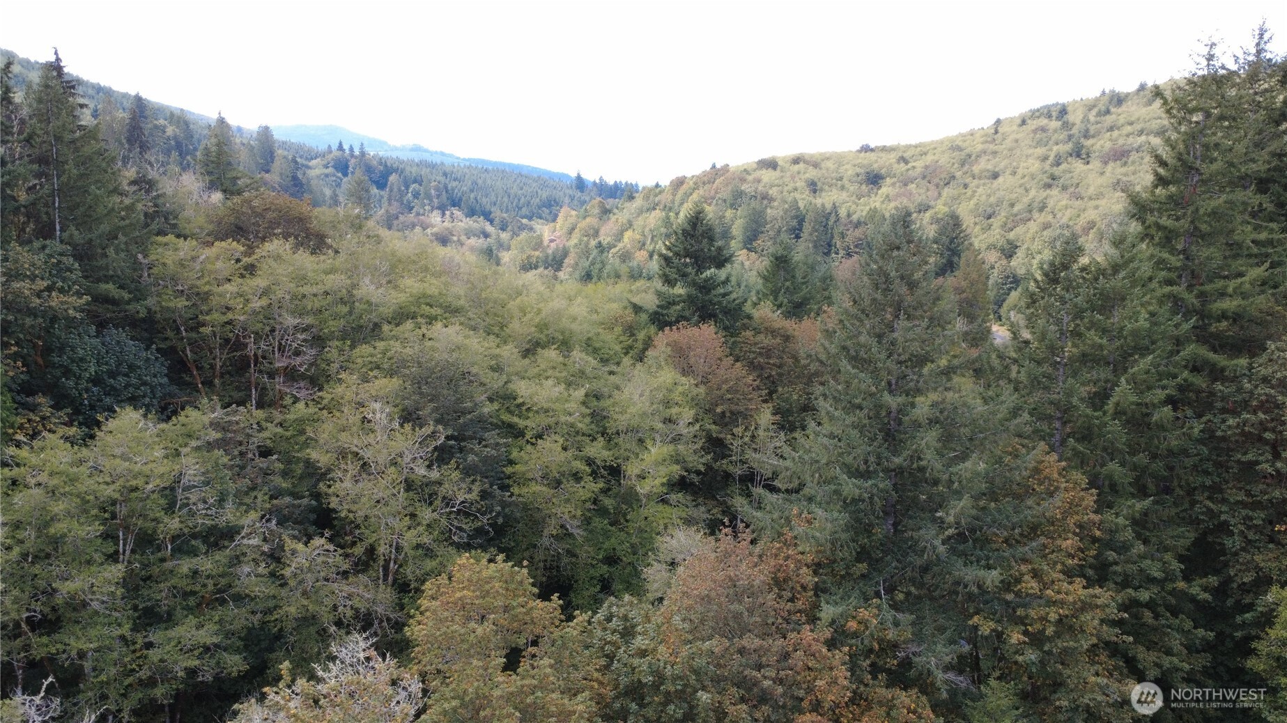 8741 Rose Valley Road Property Photo 9