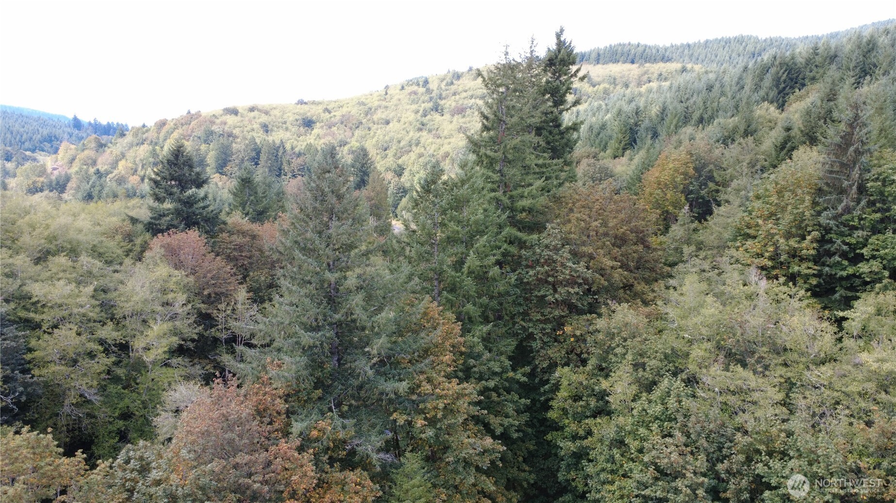 8741 Rose Valley Road Property Photo 12