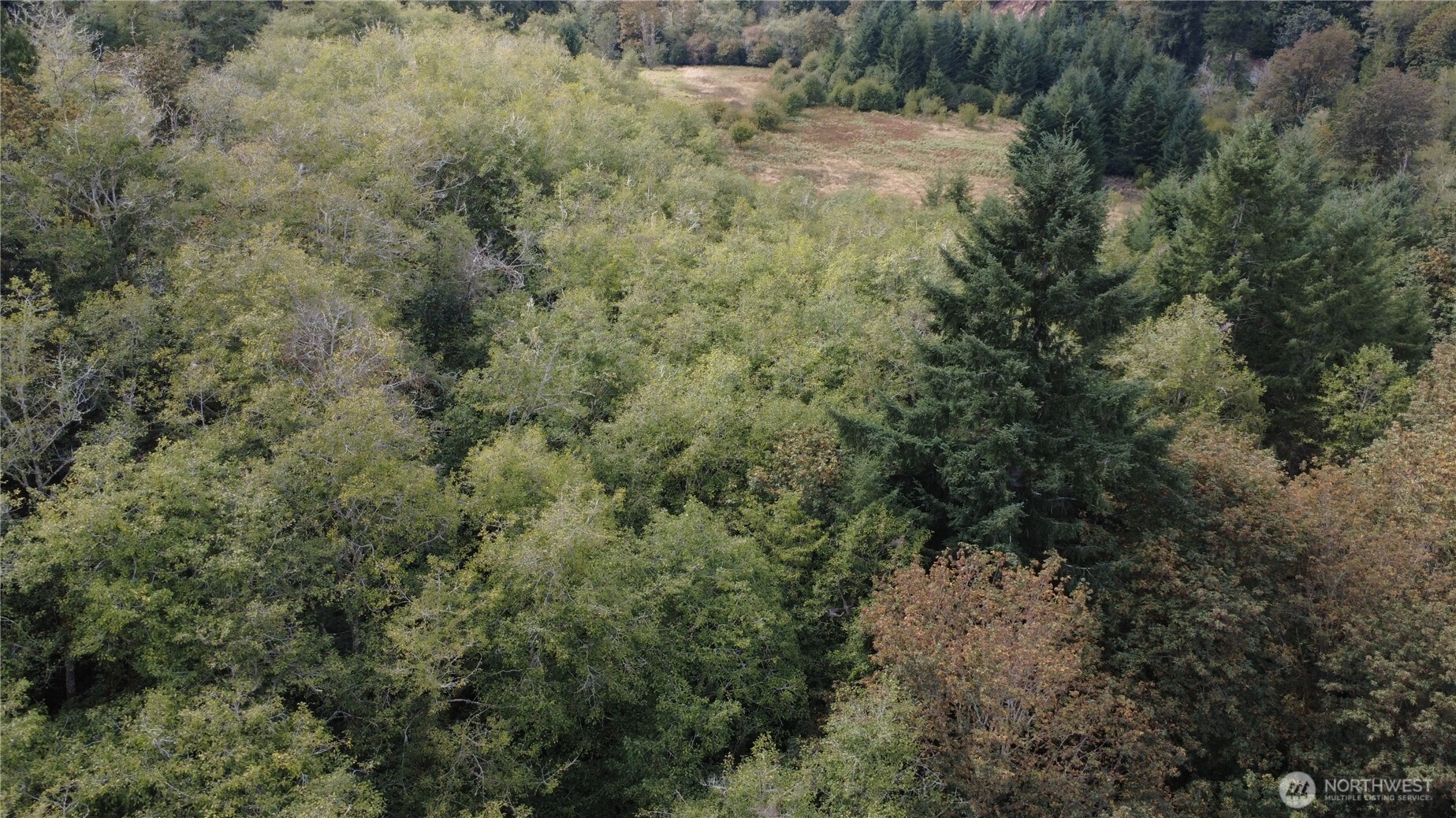 8741 Rose Valley Road Property Photo 17
