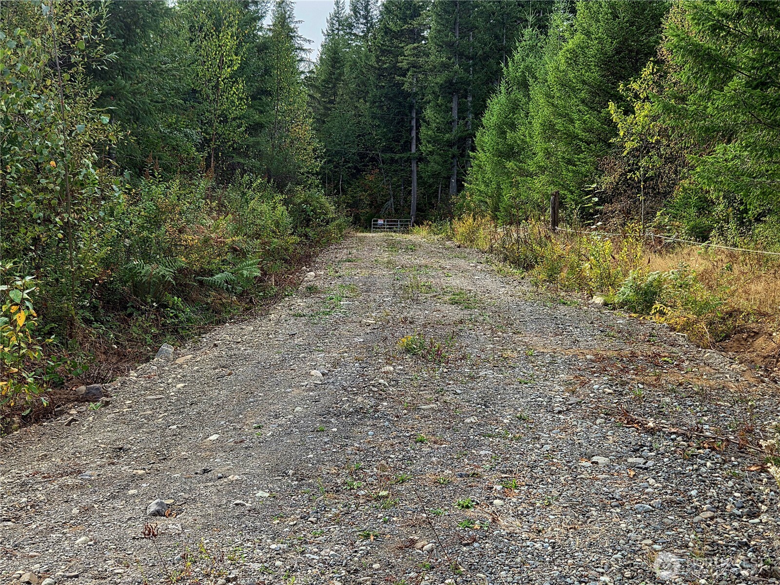 0 Heady Road Property Photo 1