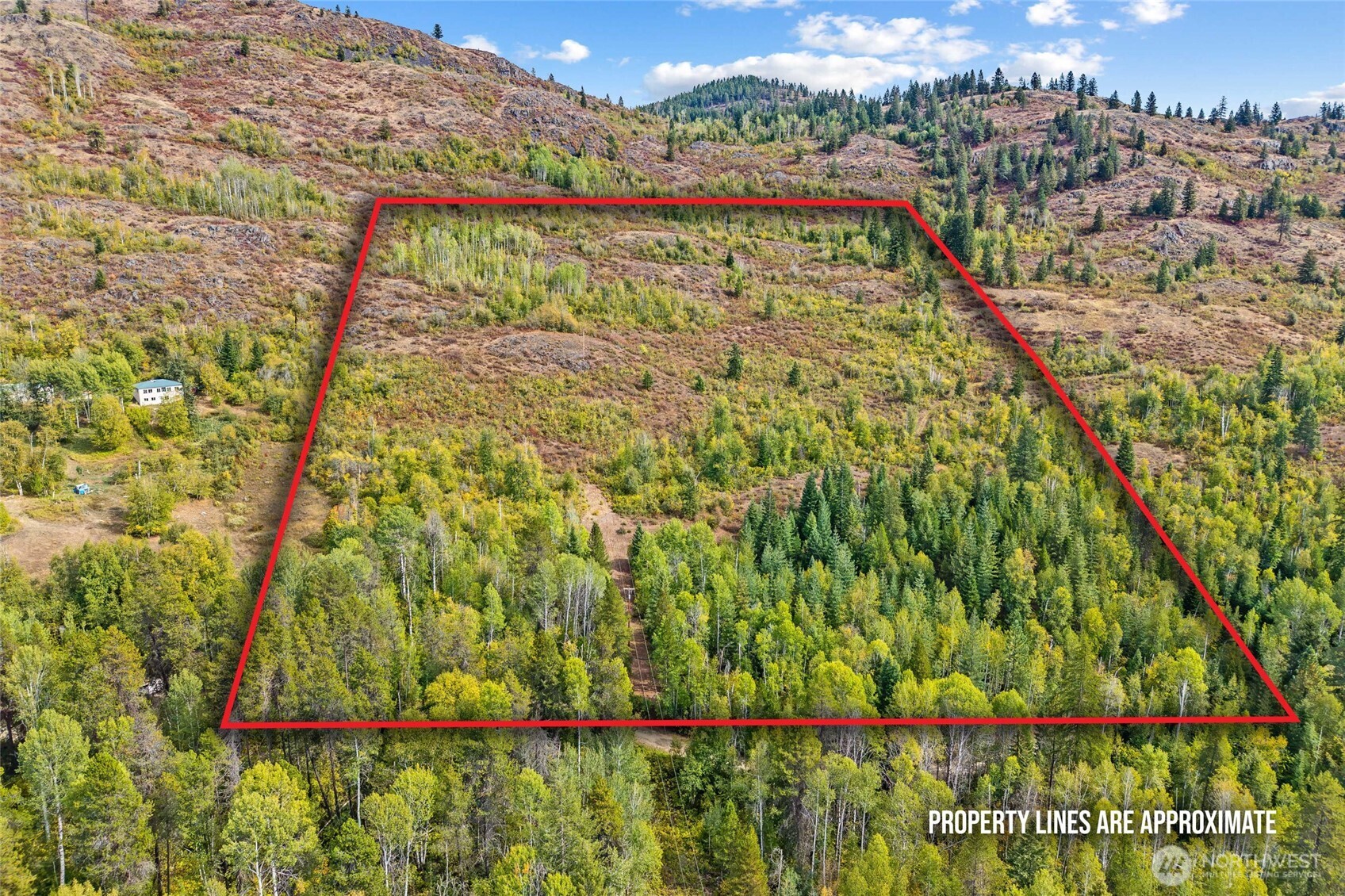 220 Catamount Ridge Lane Property Photo 4