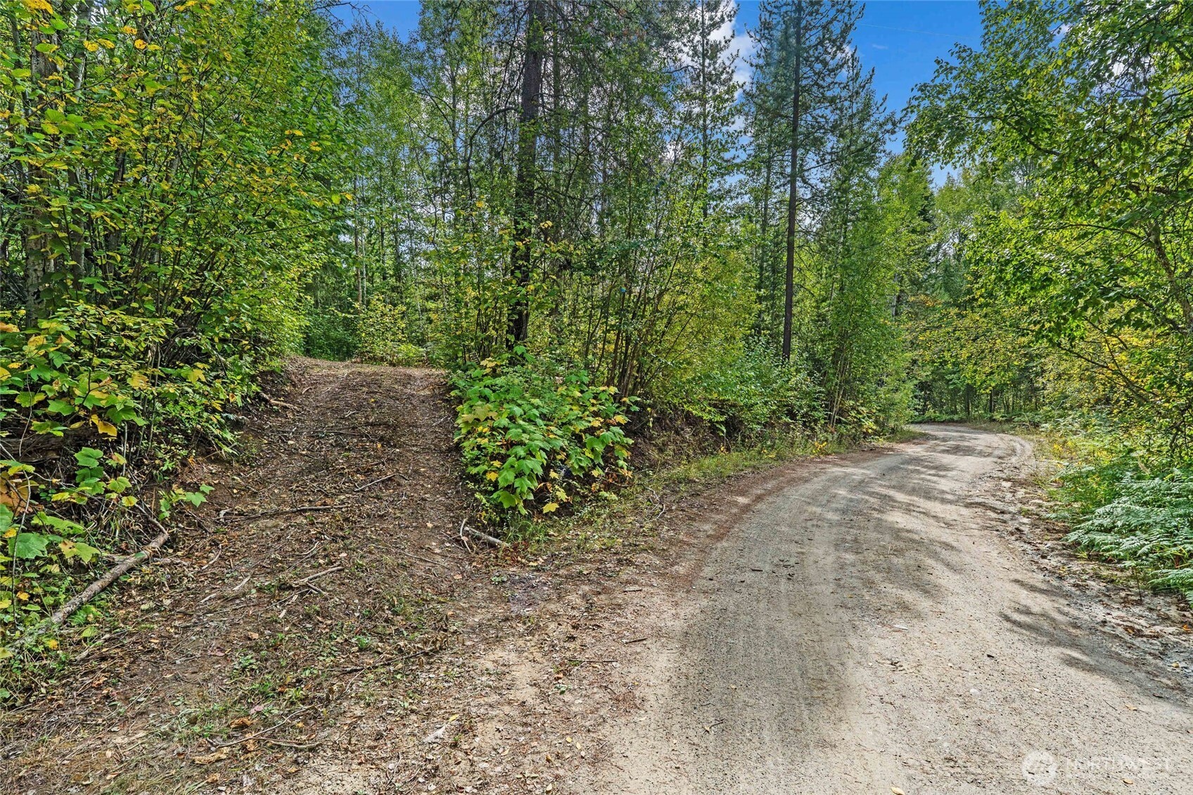 220 Catamount Ridge Lane Property Photo 14