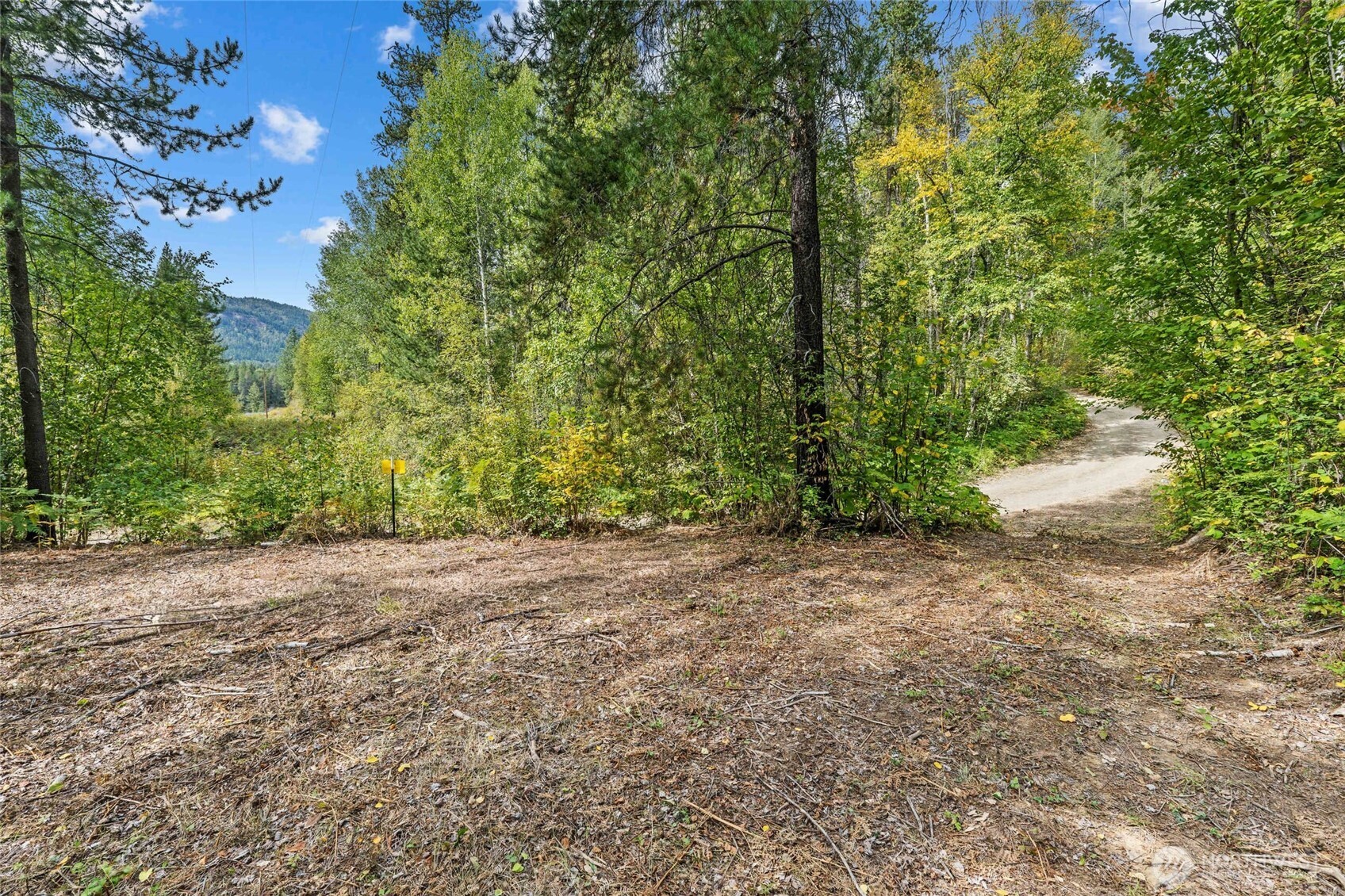 220 Catamount Ridge Lane Property Photo 15