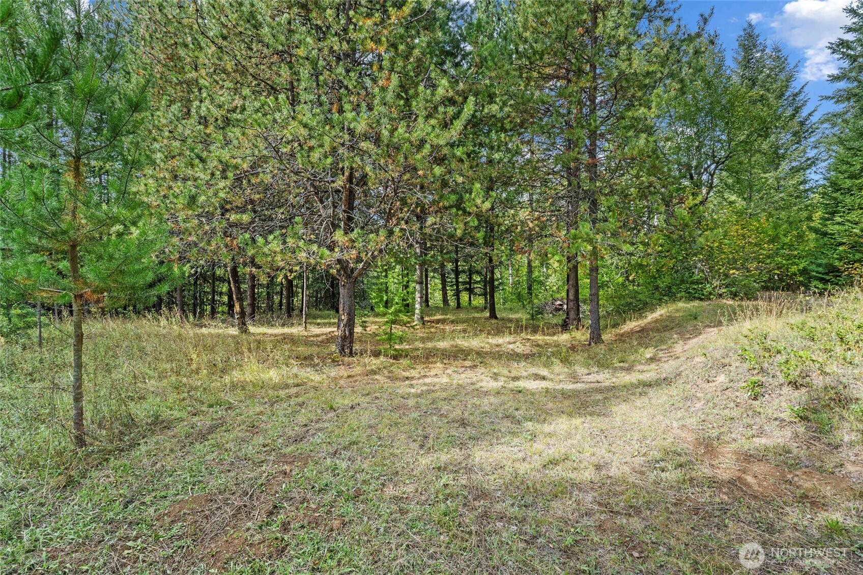 220 Catamount Ridge Lane Property Photo 19