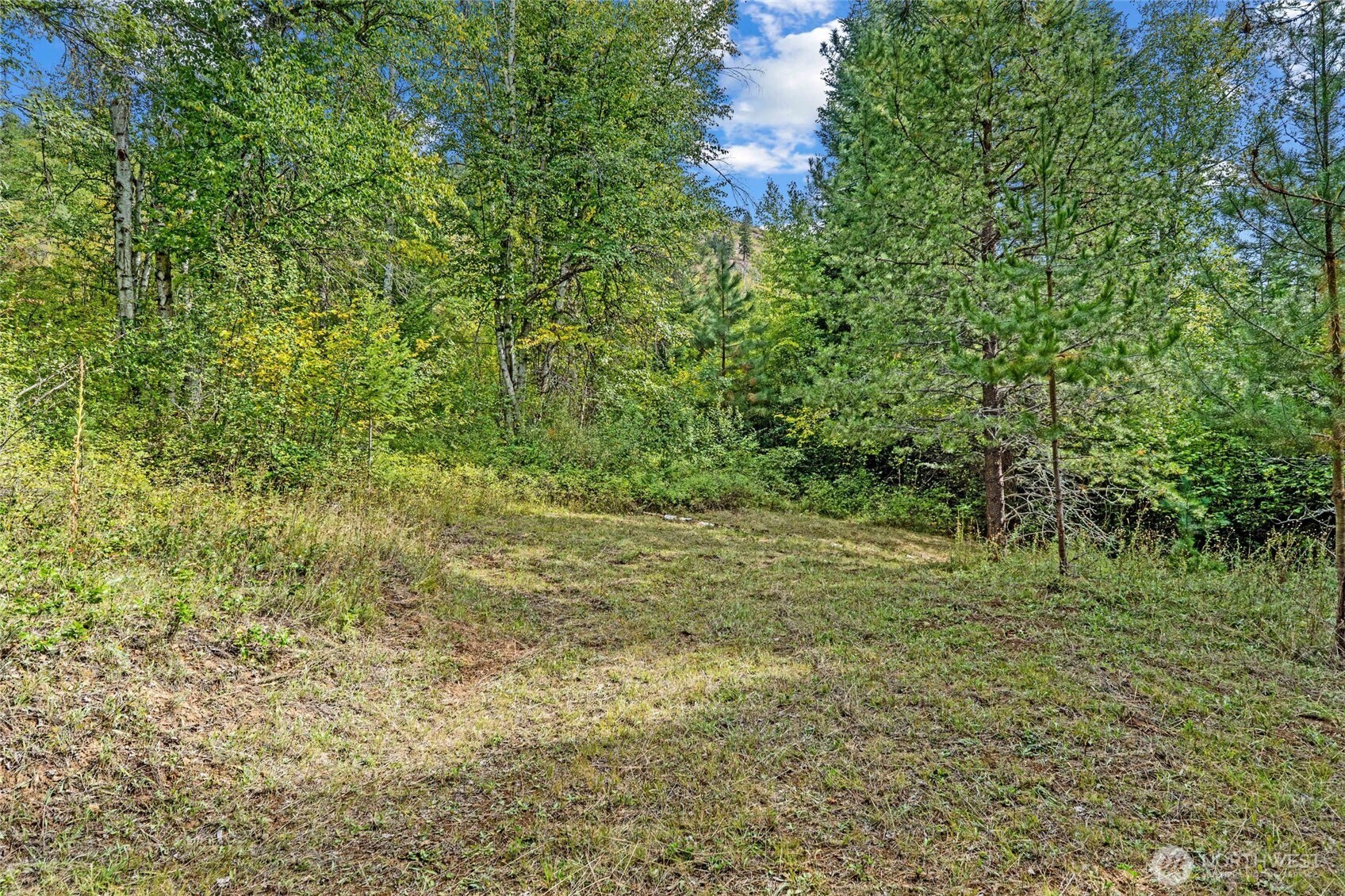 220 Catamount Ridge Lane Property Photo 21