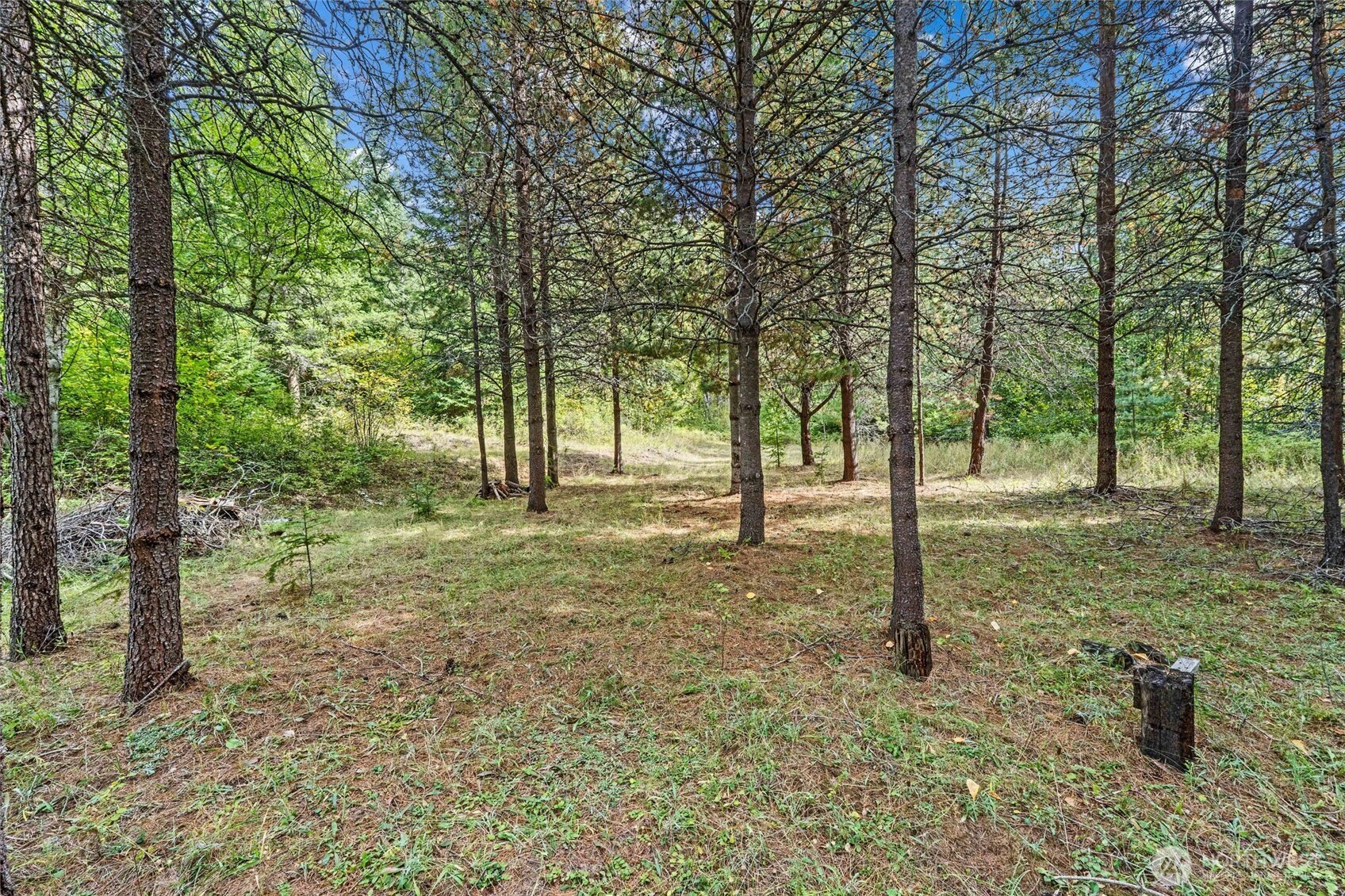 220 Catamount Ridge Lane Property Photo 22