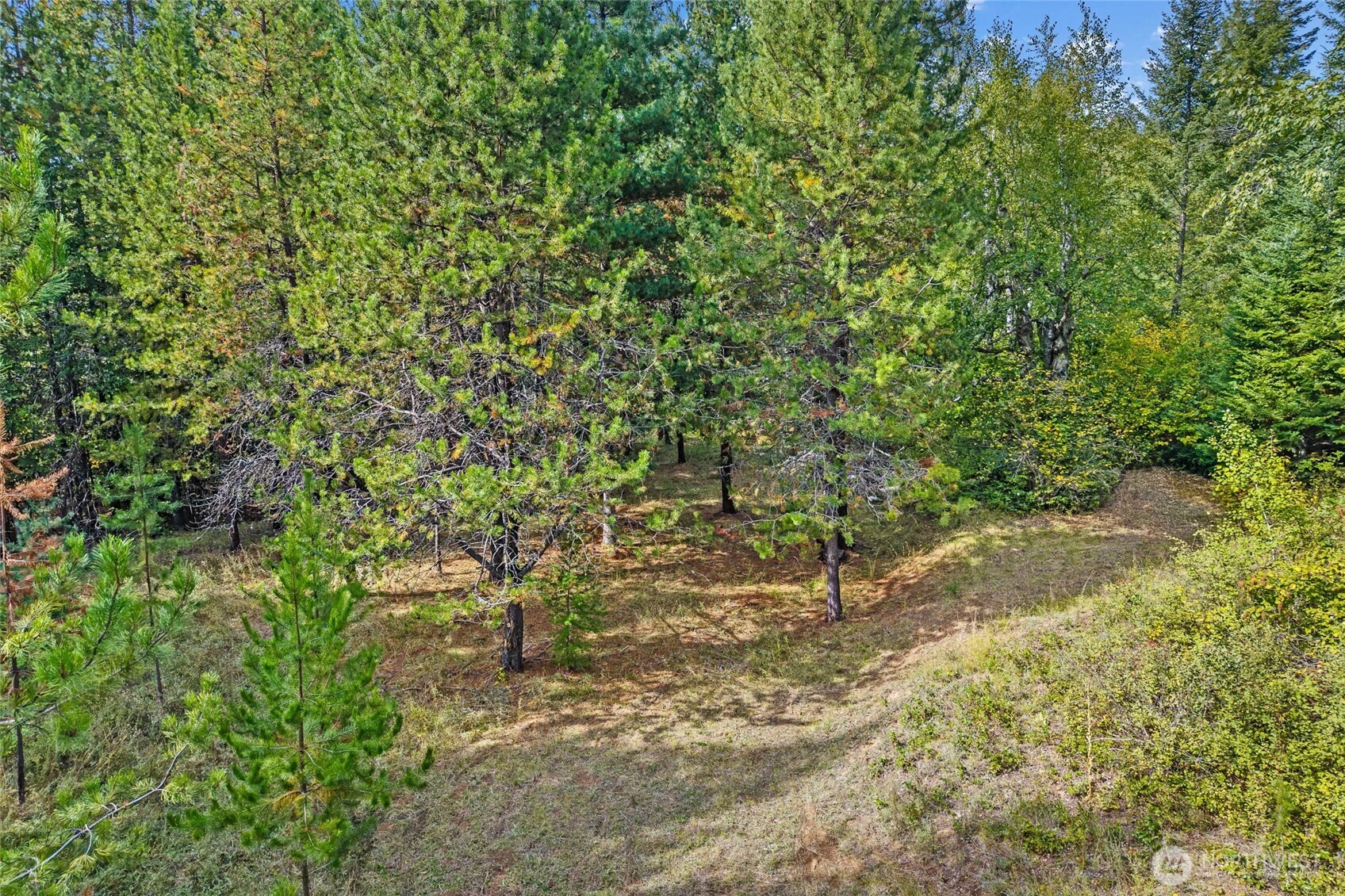 220 Catamount Ridge Lane Property Photo 38